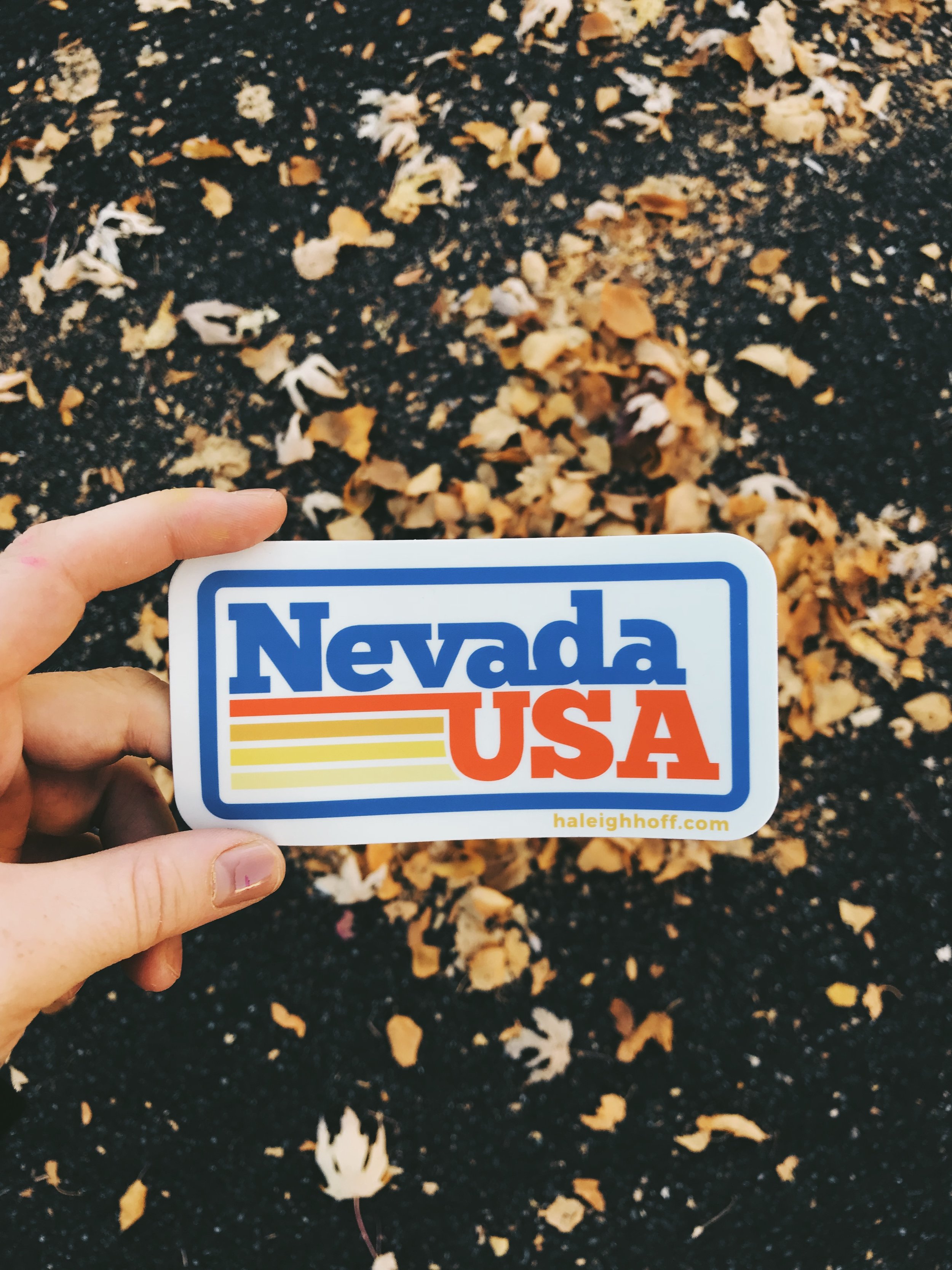 NEVADA USA