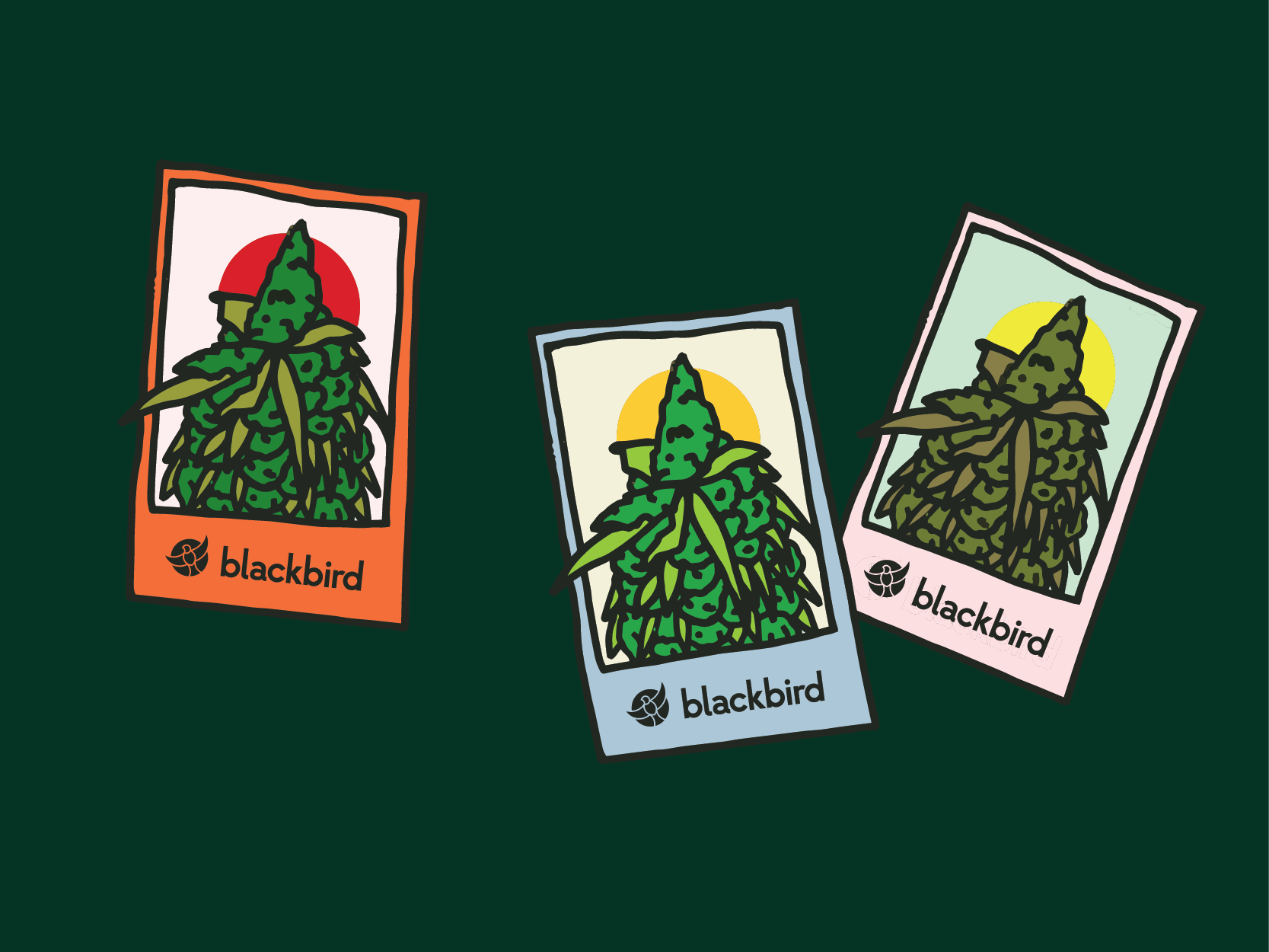 Blackbird Tarot Cardsv2-01.png