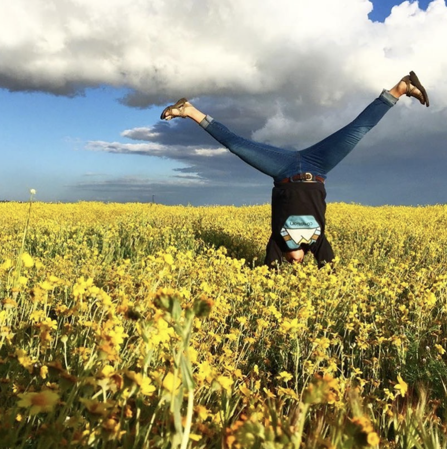 Screen Shot 2022-11-07 at 12.53.10 PM.png