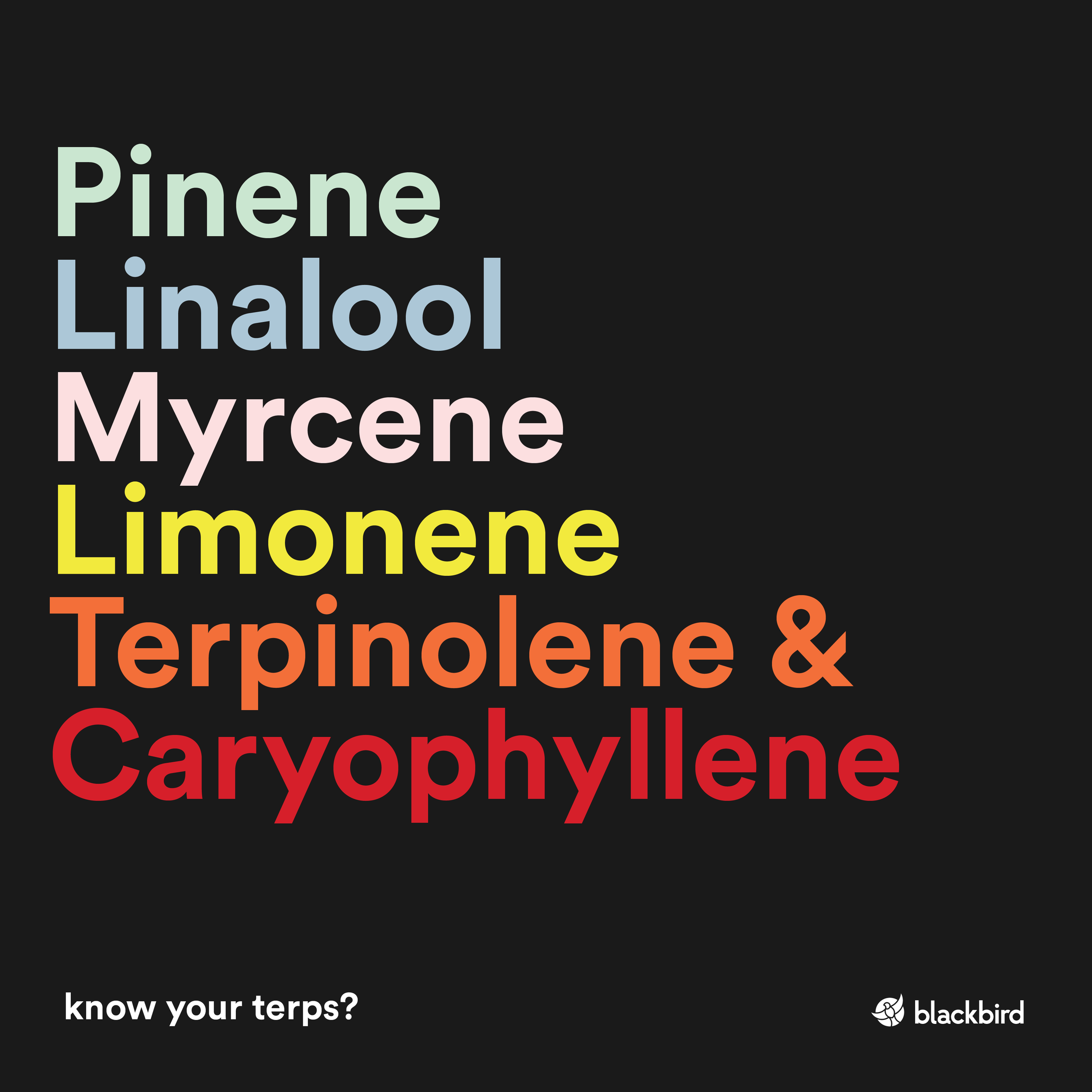 knowyourterps_color-01.png