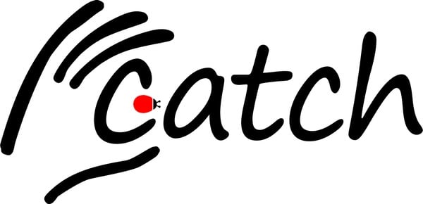 Using Catch to Write BDD-Style Unit Tests for C