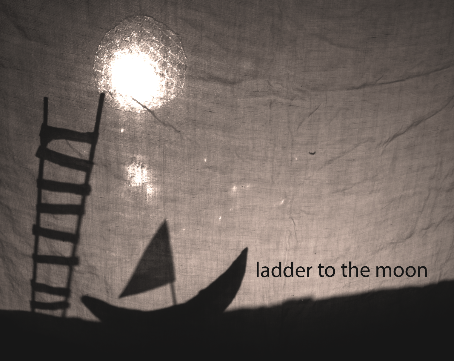 laddertomoonpicweb.gif