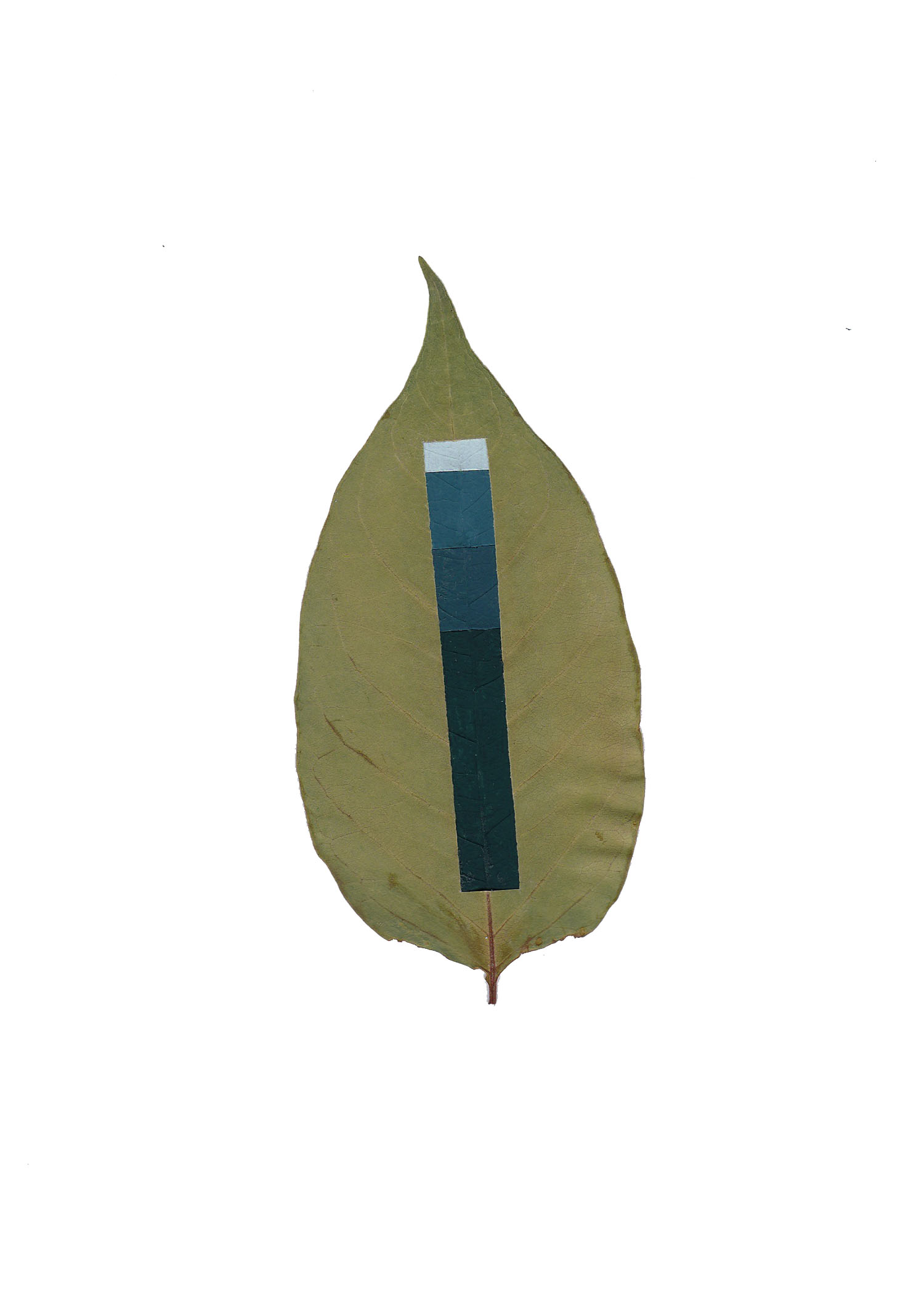 Richford_Leaves_Layers of Mountain and the Sky.jpg