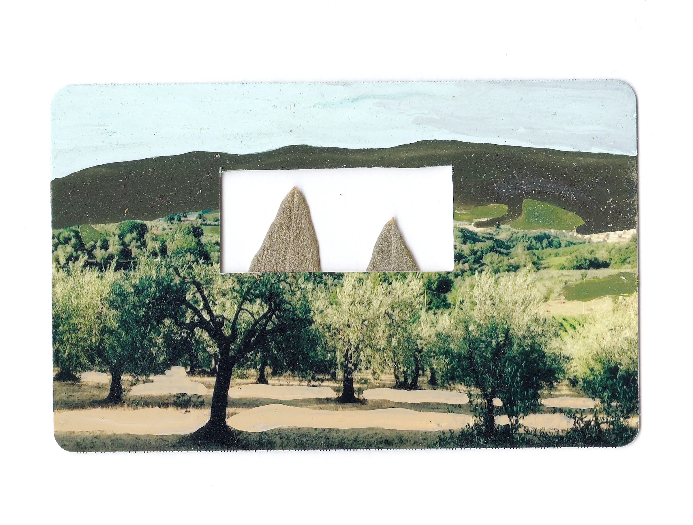 italy_collage_3.jpg