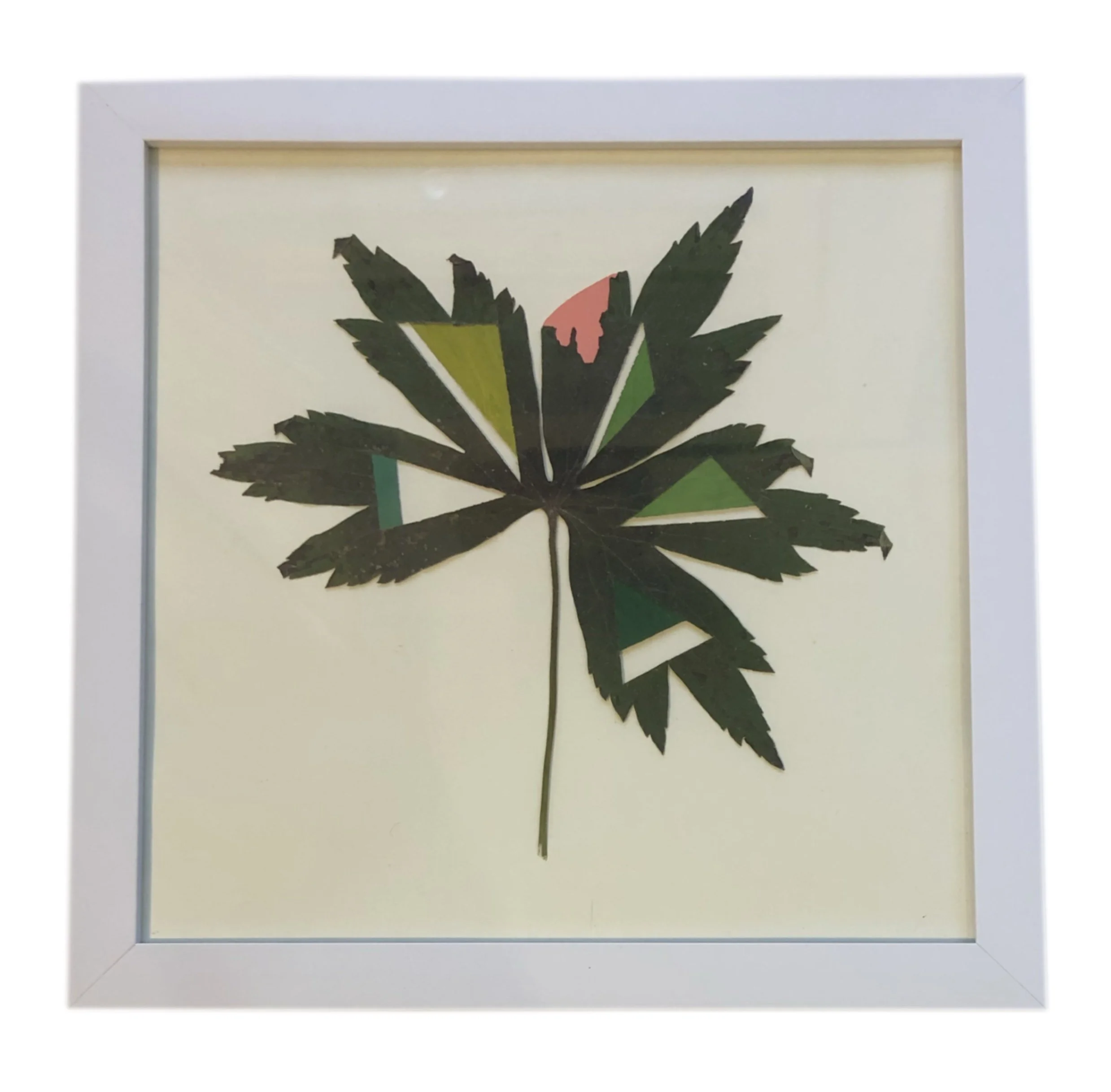 Meadow Anemone I.JPG