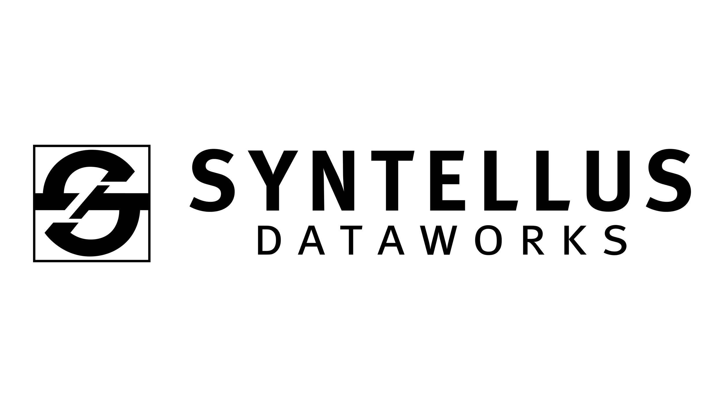 LOGO | SYNTELLUS DATAWORKS