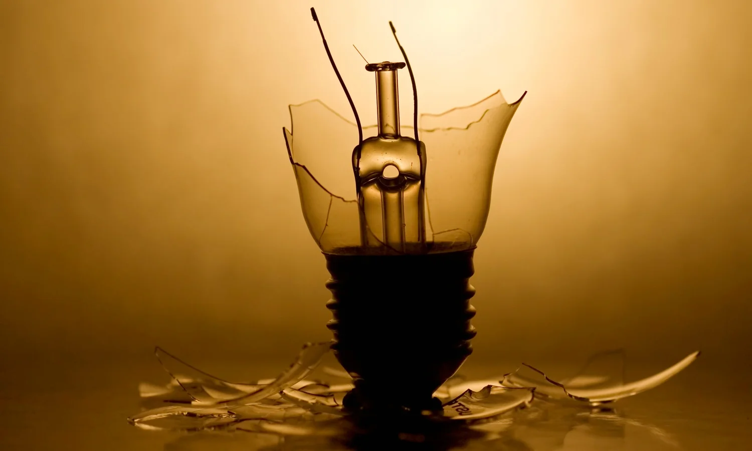 LIGHTBULB 003 website.jpg