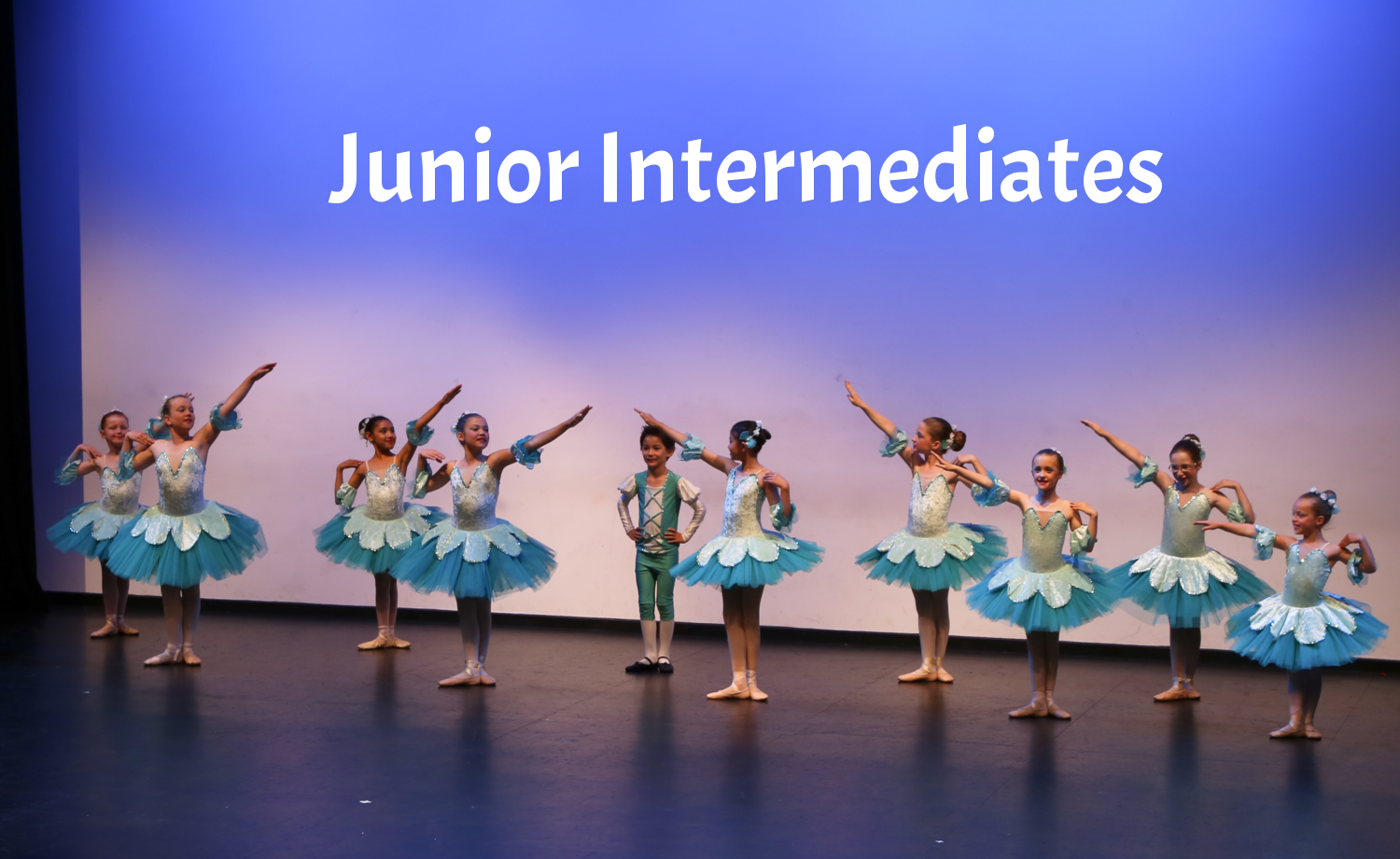 Junior Intermediates concert website adv.png