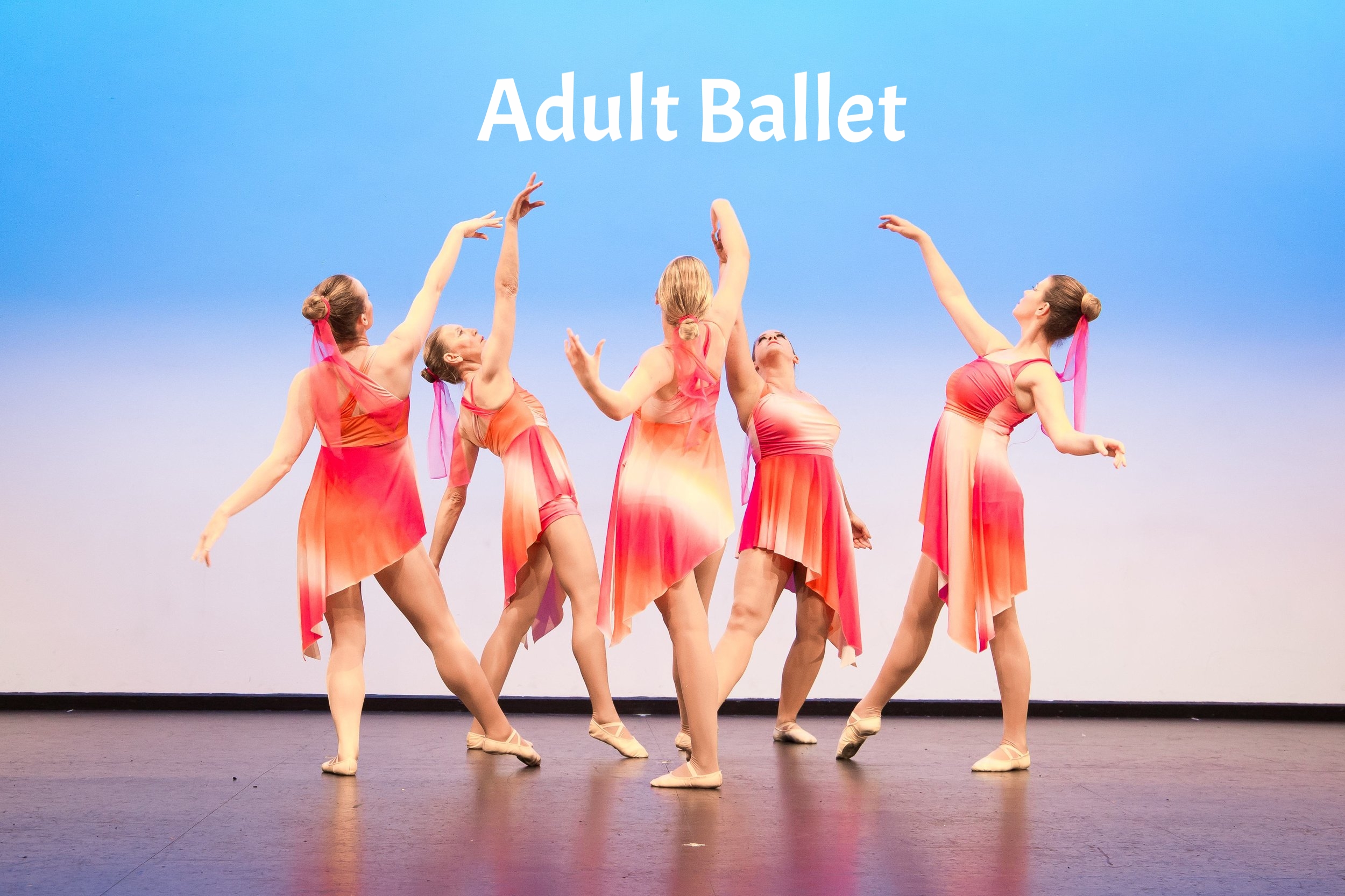 Adult Ballet Visions 2017 Website.jpg