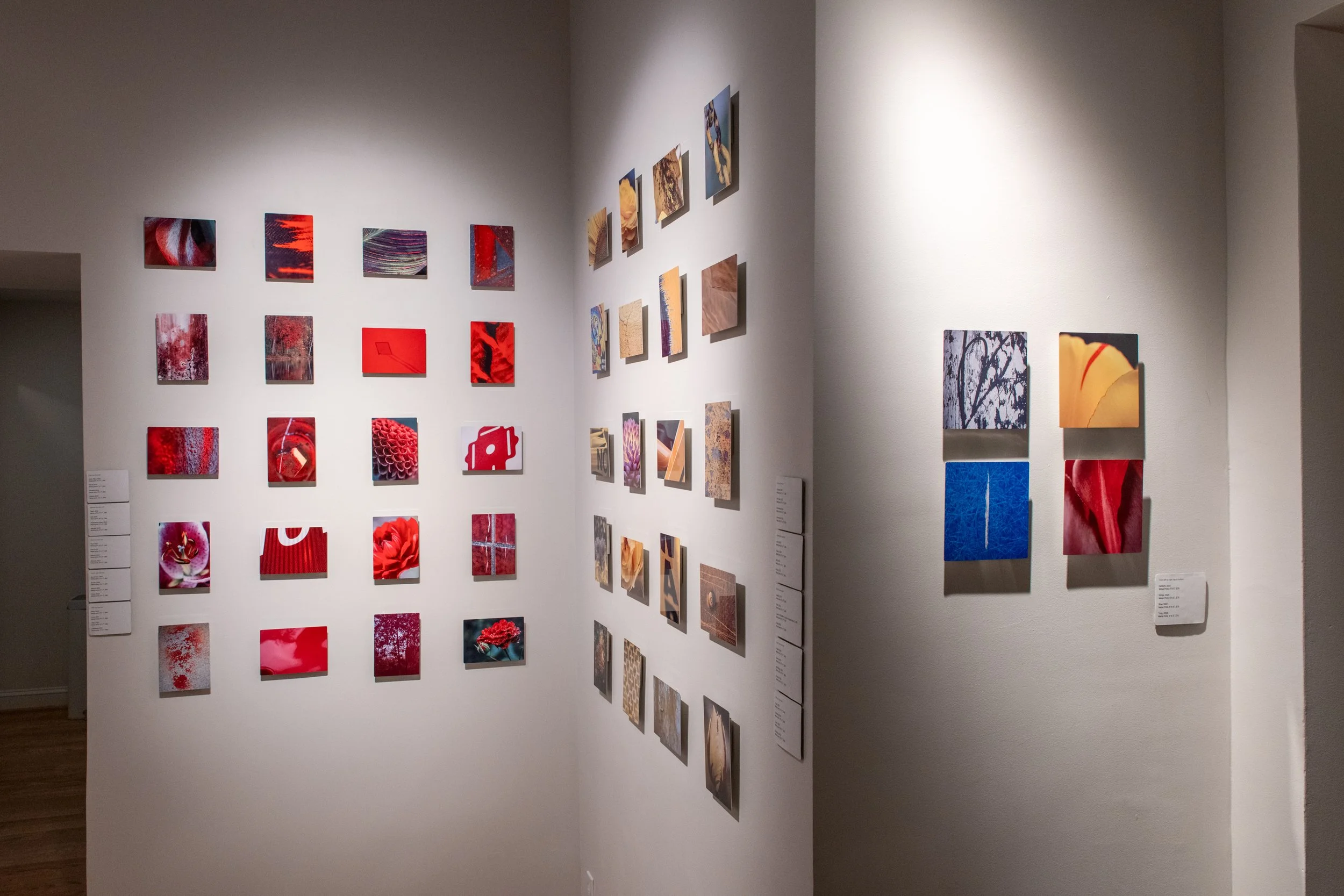  Exhibition / Installation View 