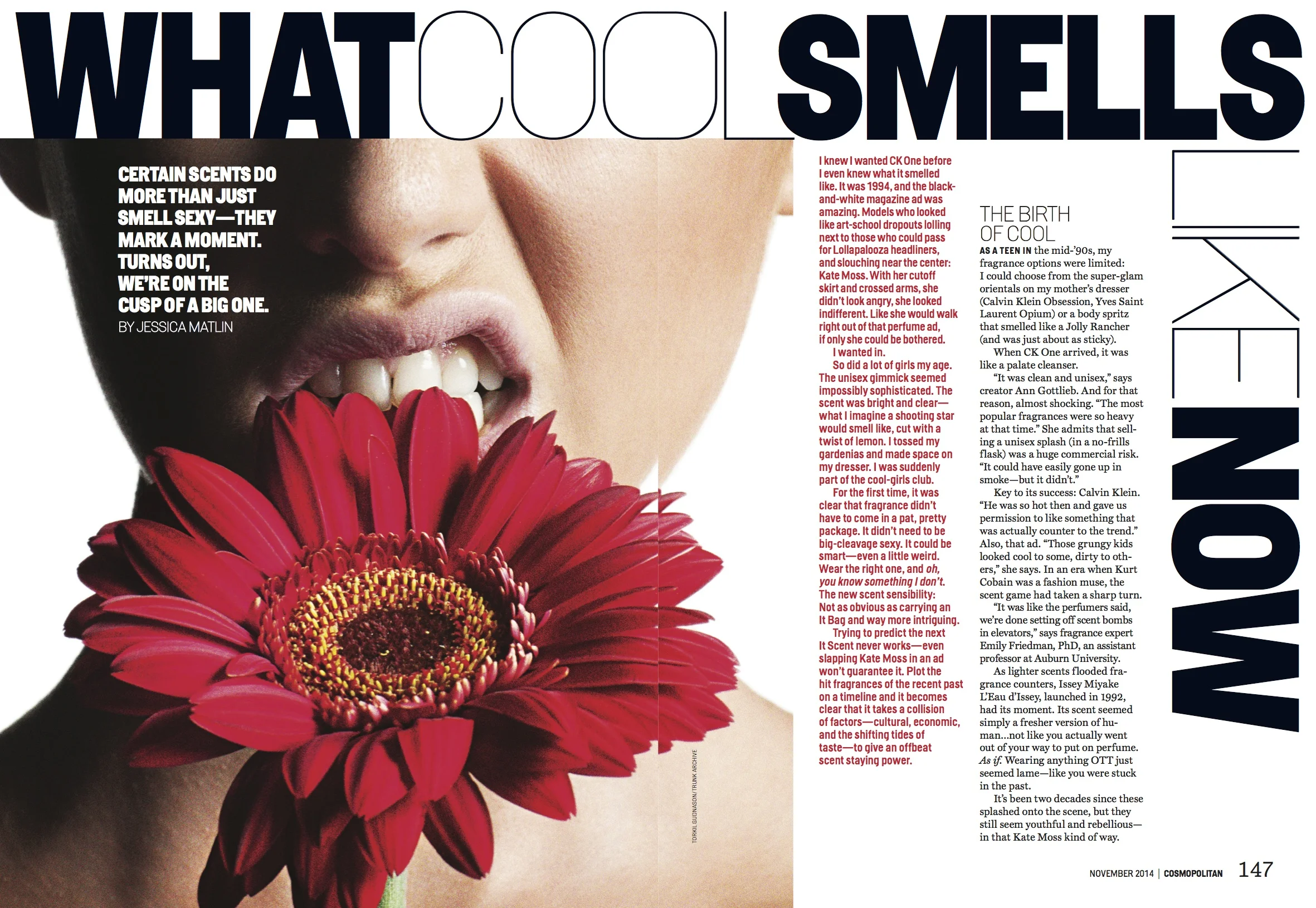 Cool smell 1.jpg