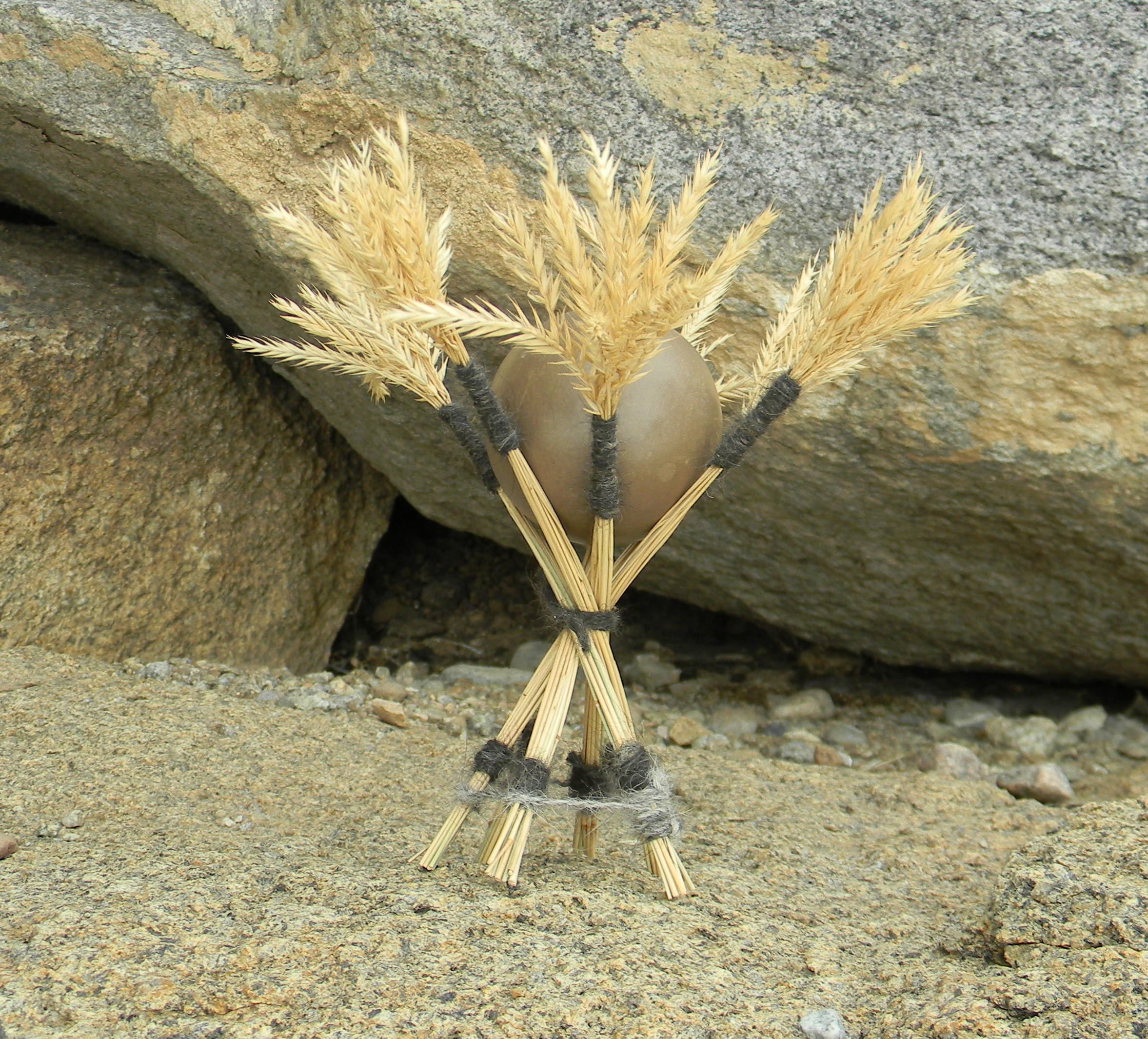 Front Yard: Bargerville #1 8" x 8" x 8" Native grass, earth, dog hair