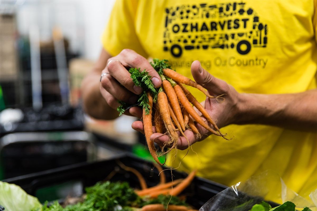 ozharvest-45205-2.jpg