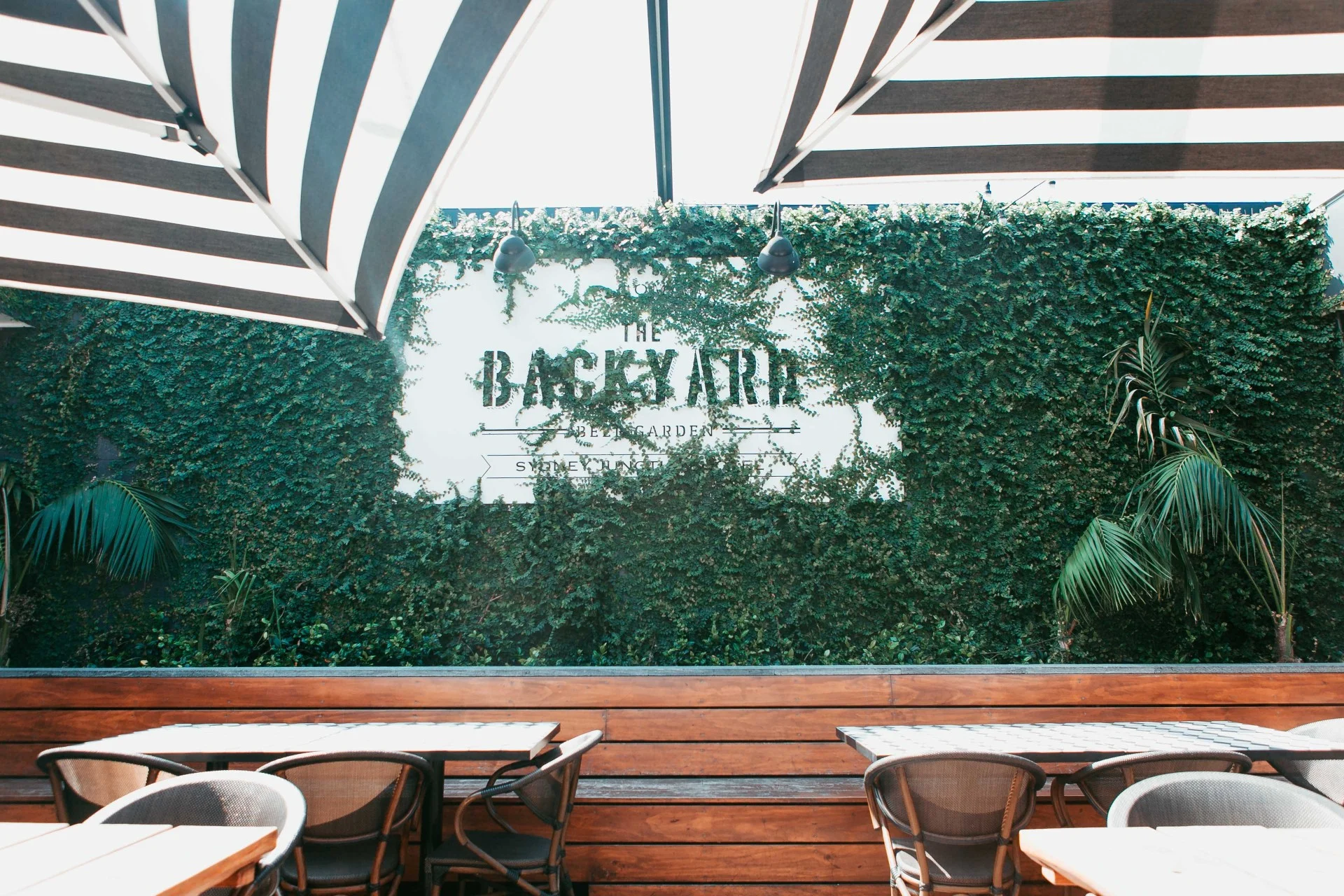 Sydney Junction Hotel Backyard.jpg