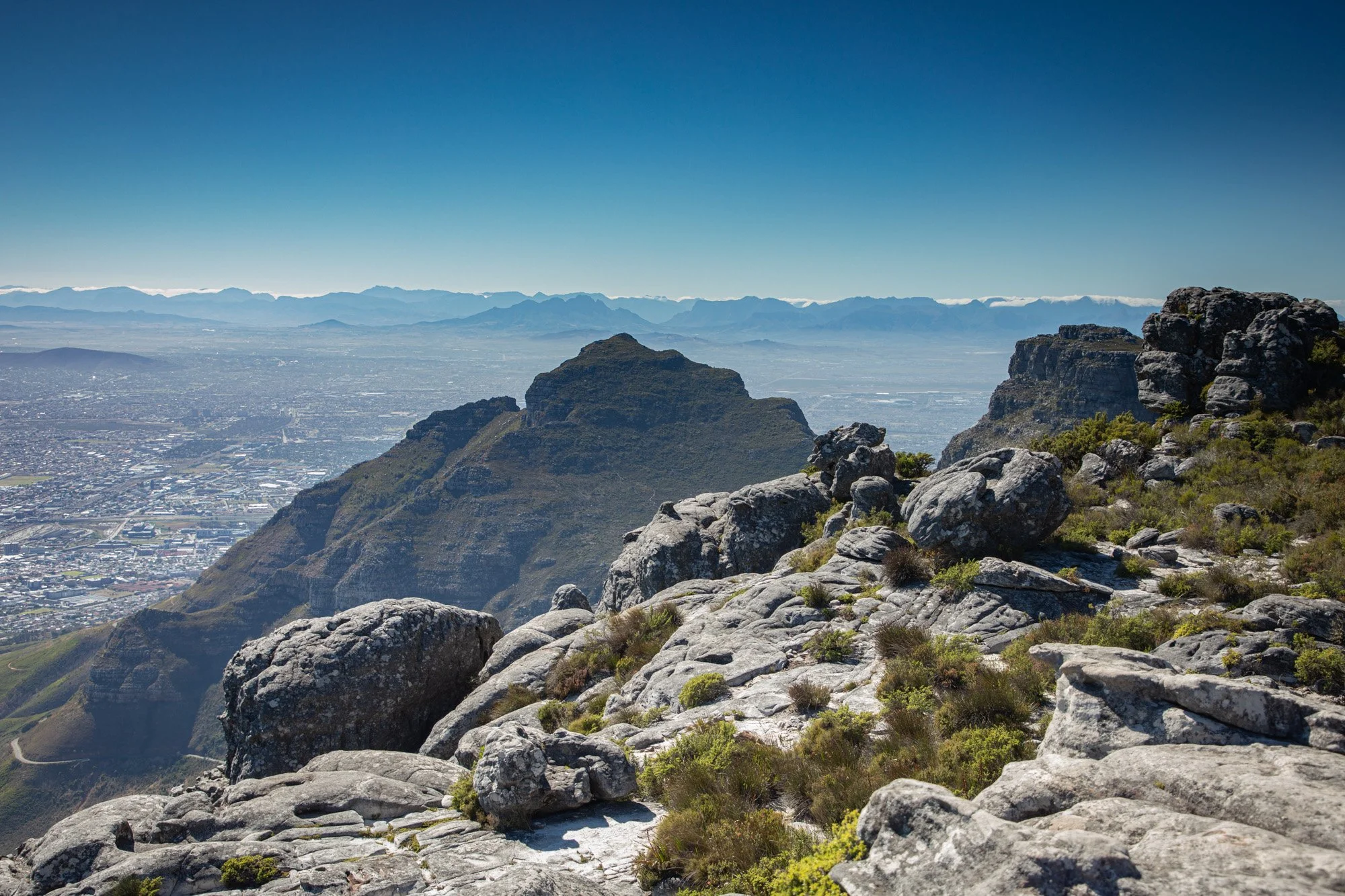 Up on Table Mountain