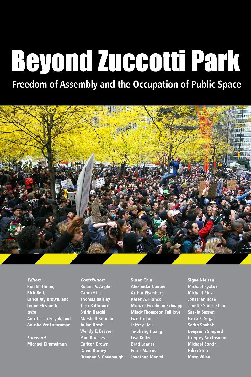beyond-zuccotti-park-book-cover.jpg