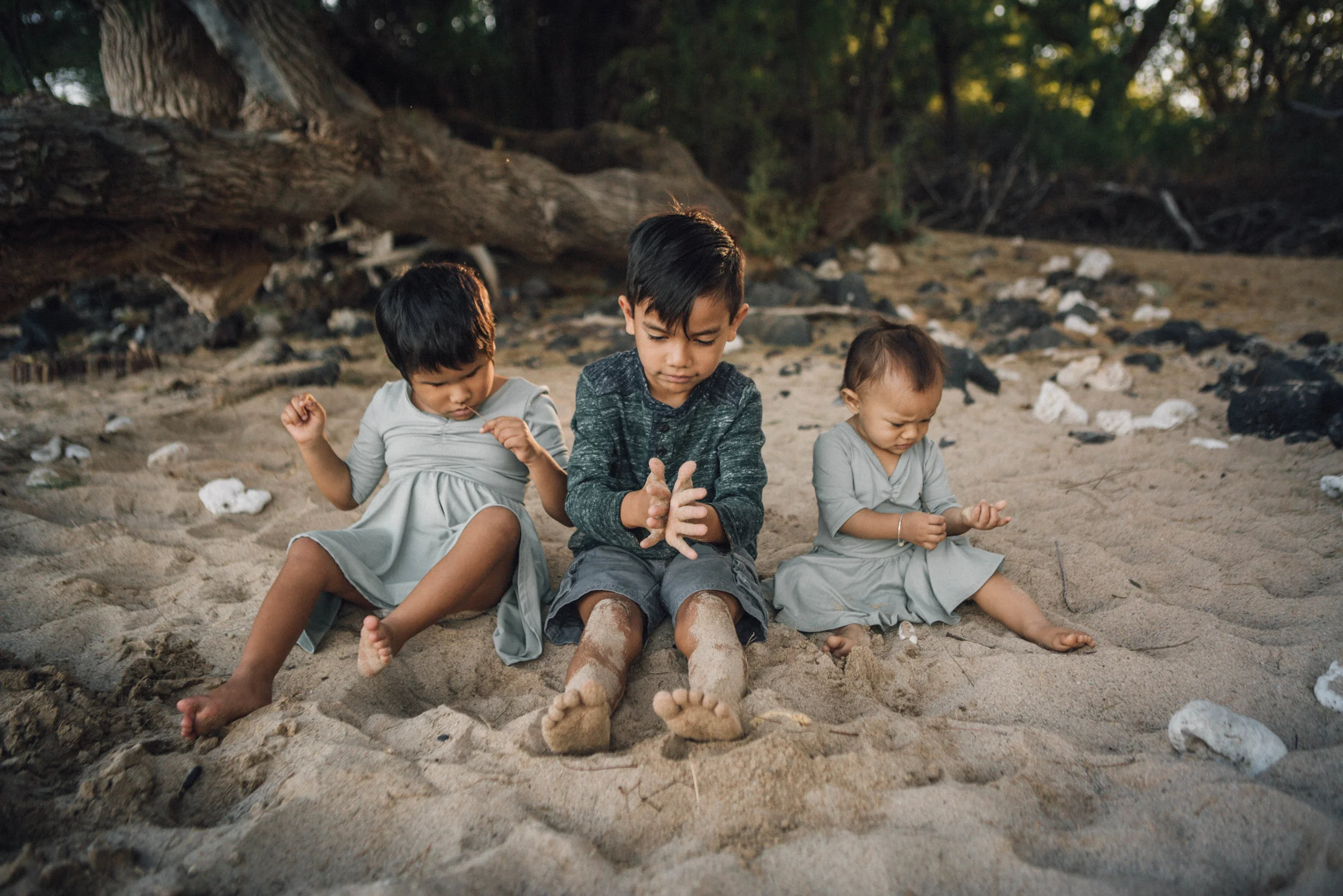 Family Photographer
