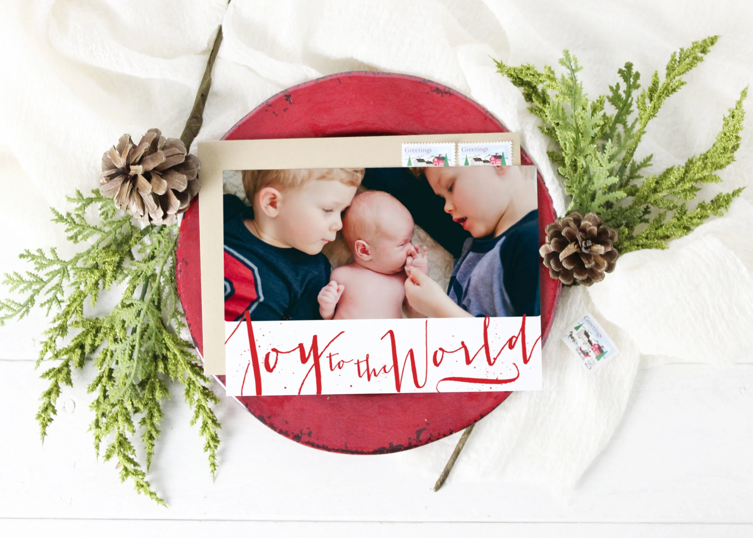 Joy to the World Christmas Card
