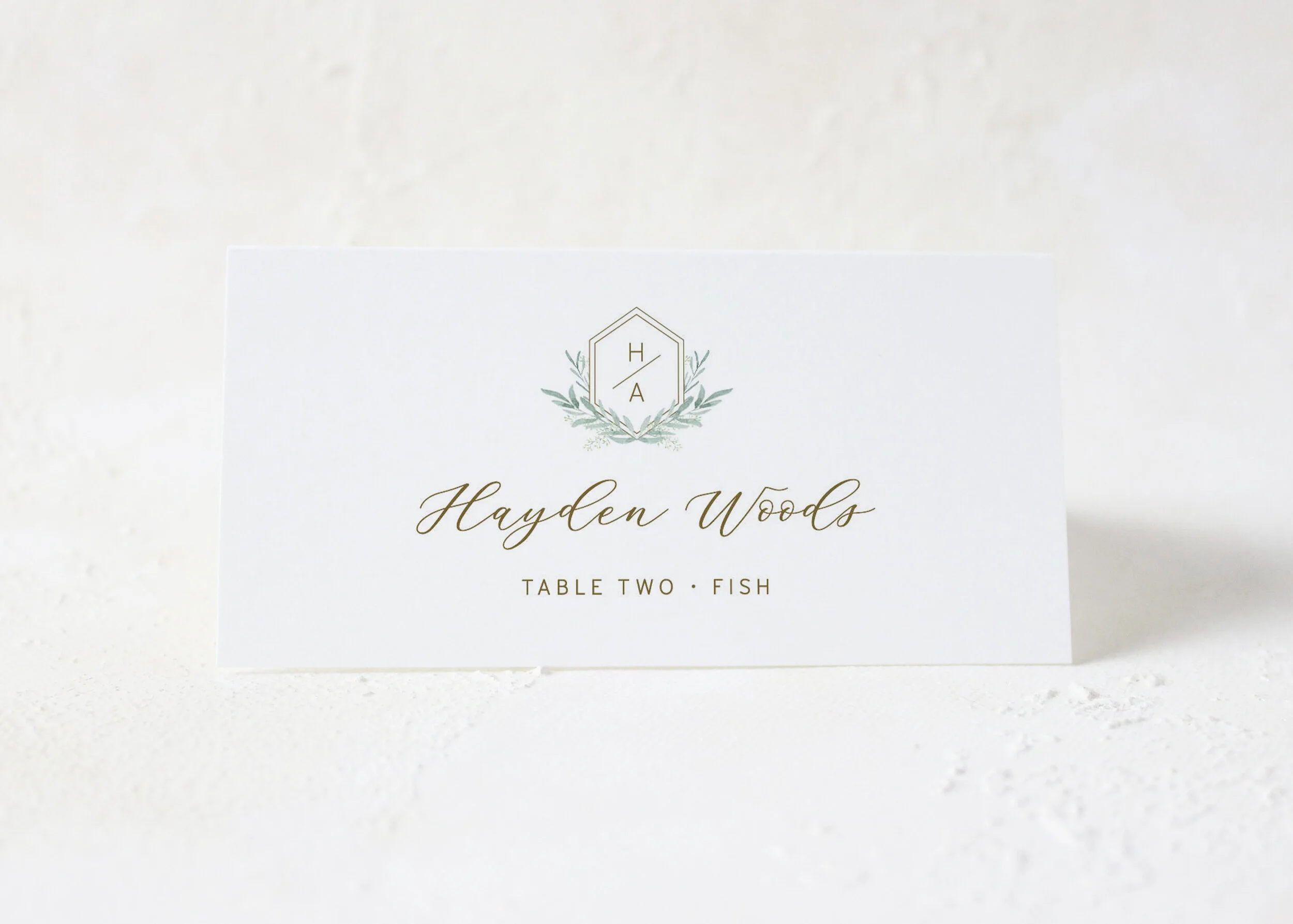 Hayden - Modern Monogram Place Cards