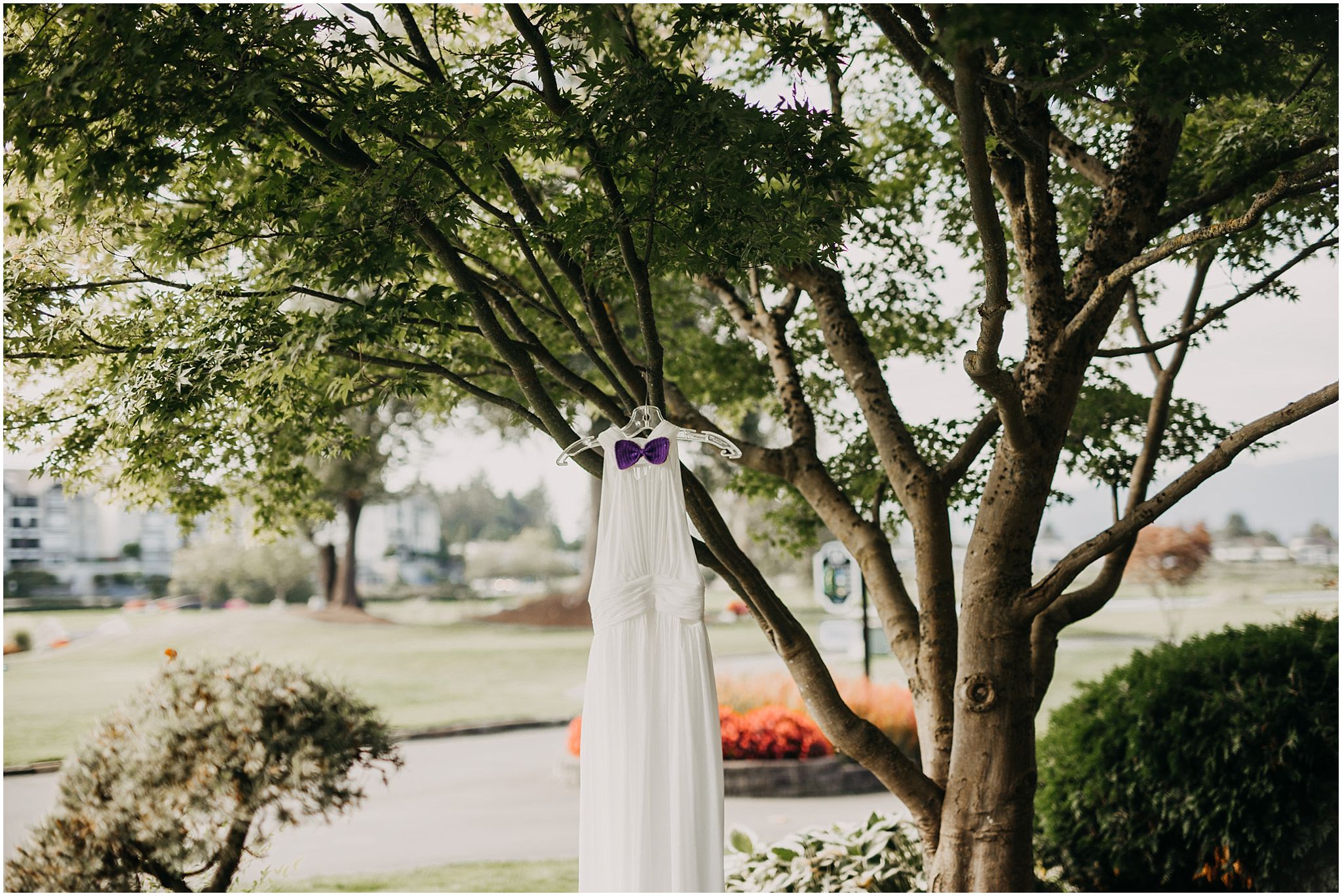 bride wedding dress hanging in tree pitt meadows wedding