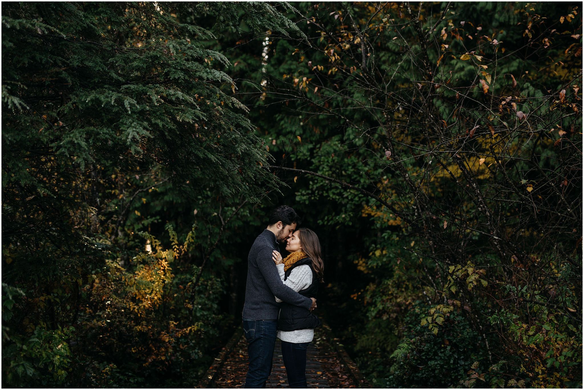 couple in trees forest rolley lake engagement session