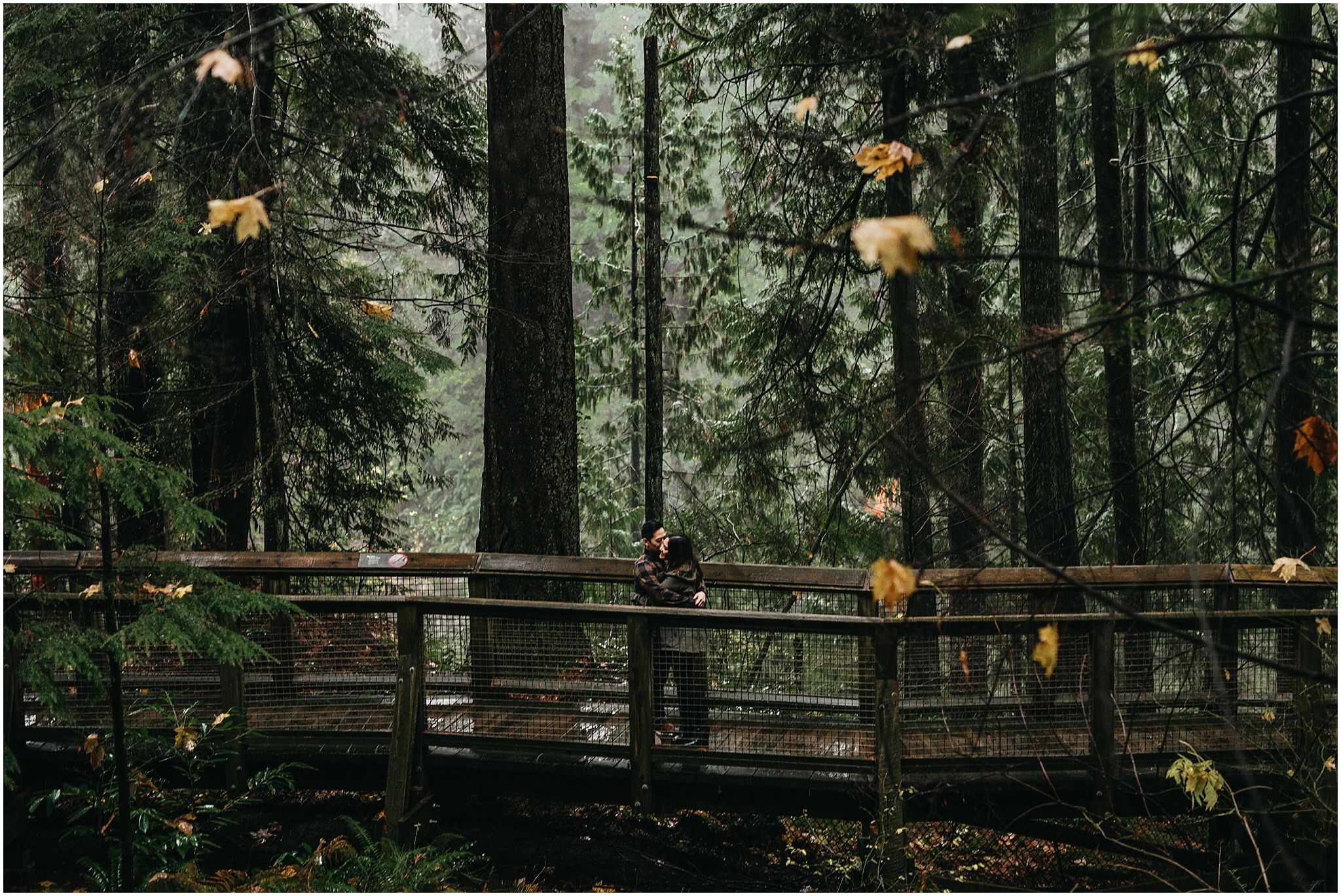 couple in forest nature walk capilano suspension bridge engagement photos