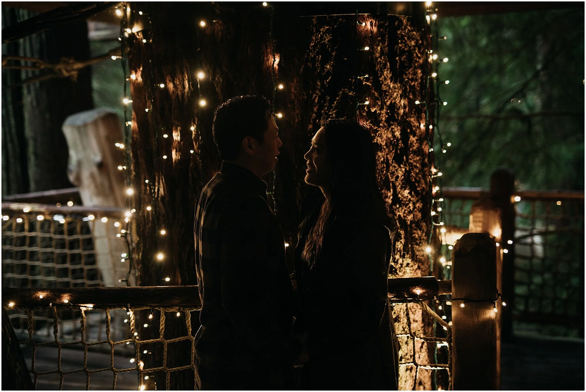 capilano suspension bridge canyon lights treetop adventures couple engagement