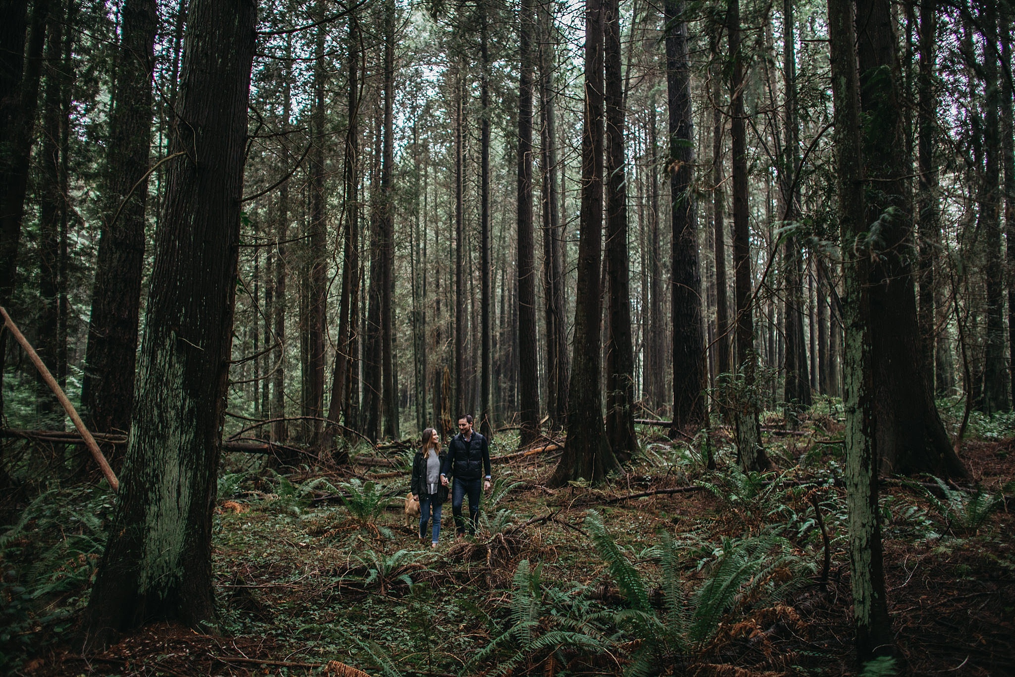 couple walking through forest pacific spirit park engagement