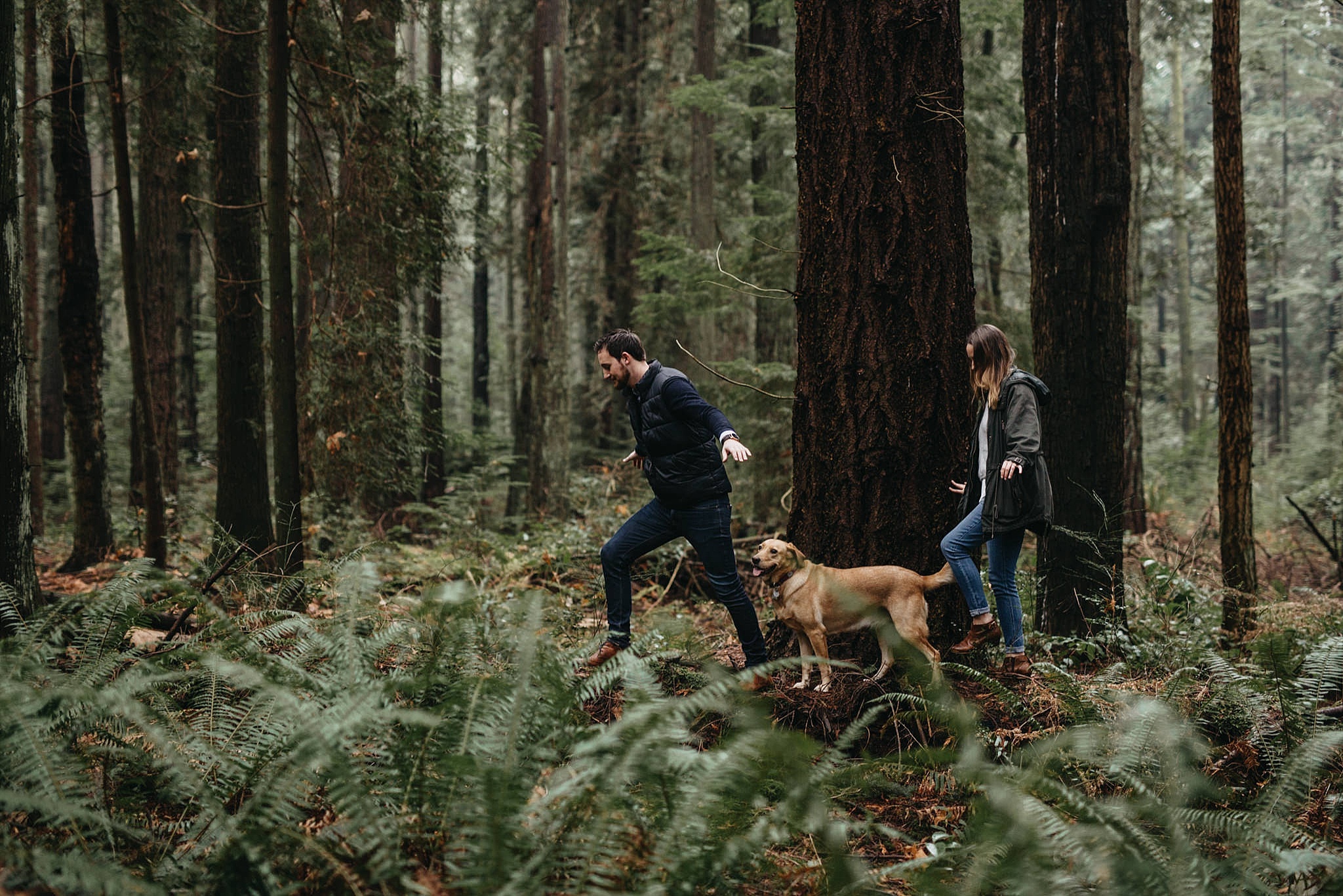 couple and dog walking on log engagement pacific spirit park