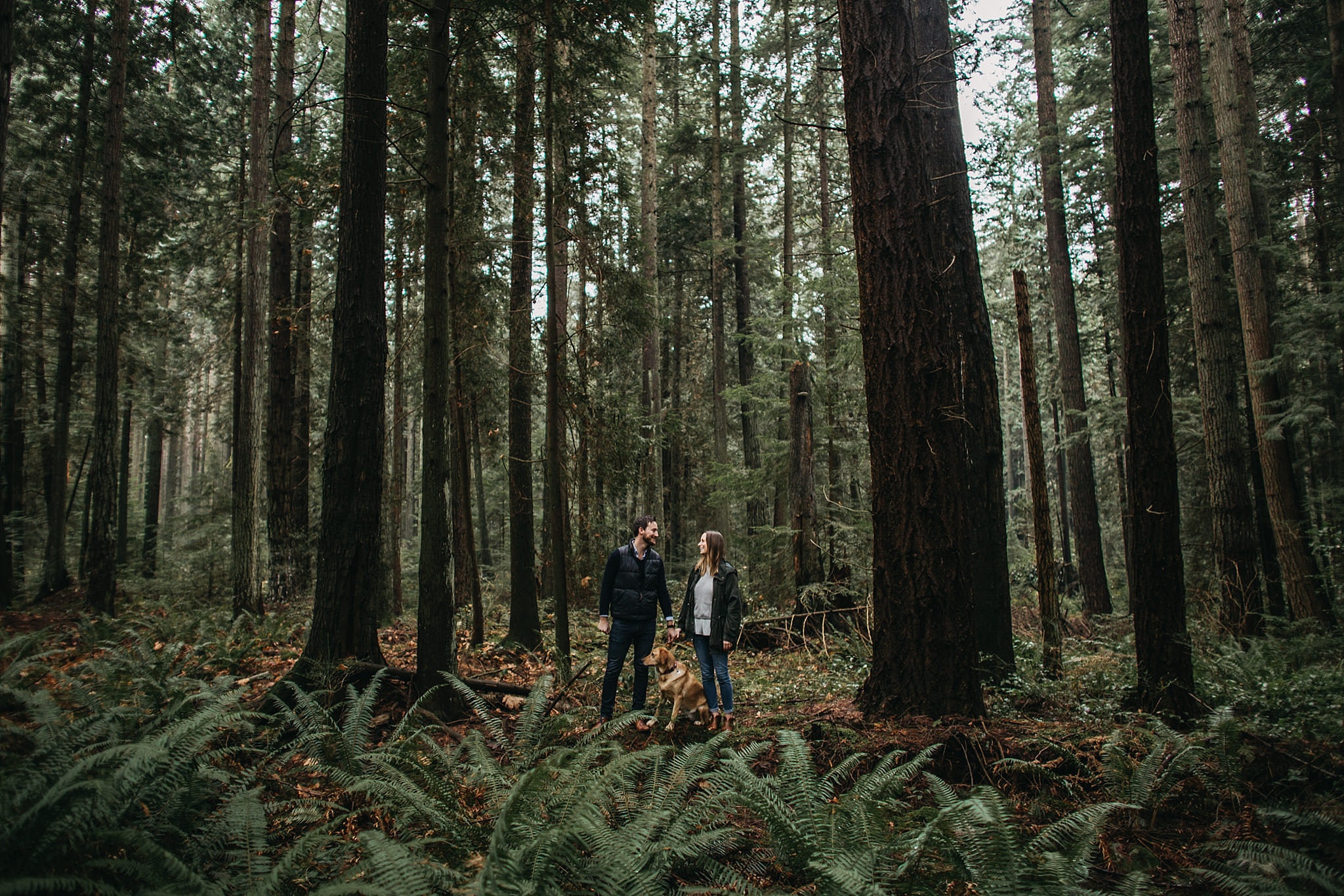 couple and dog standing in forest on log pacific spirit park engagement