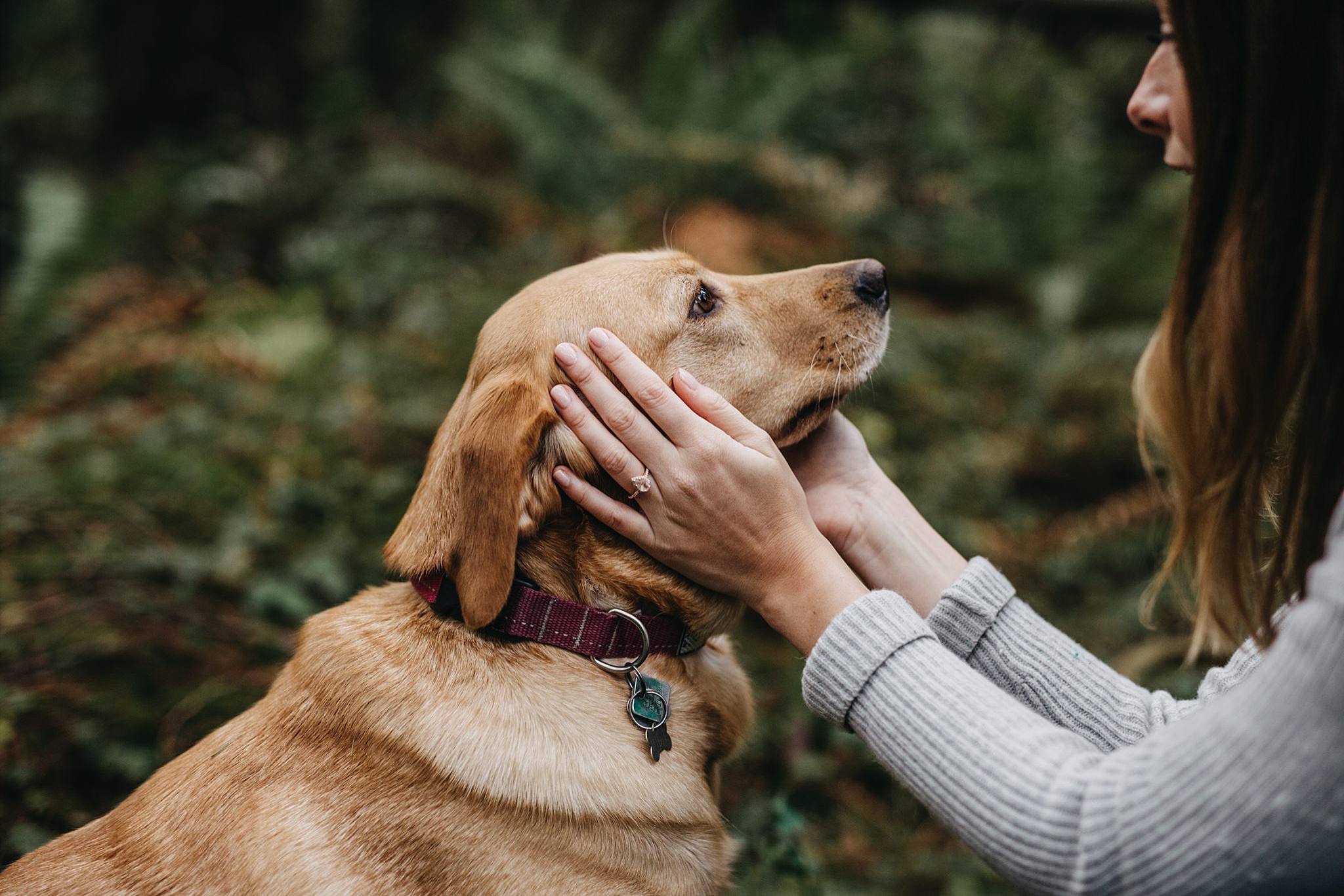 engagement ring puppy dog forest pacific spirit park