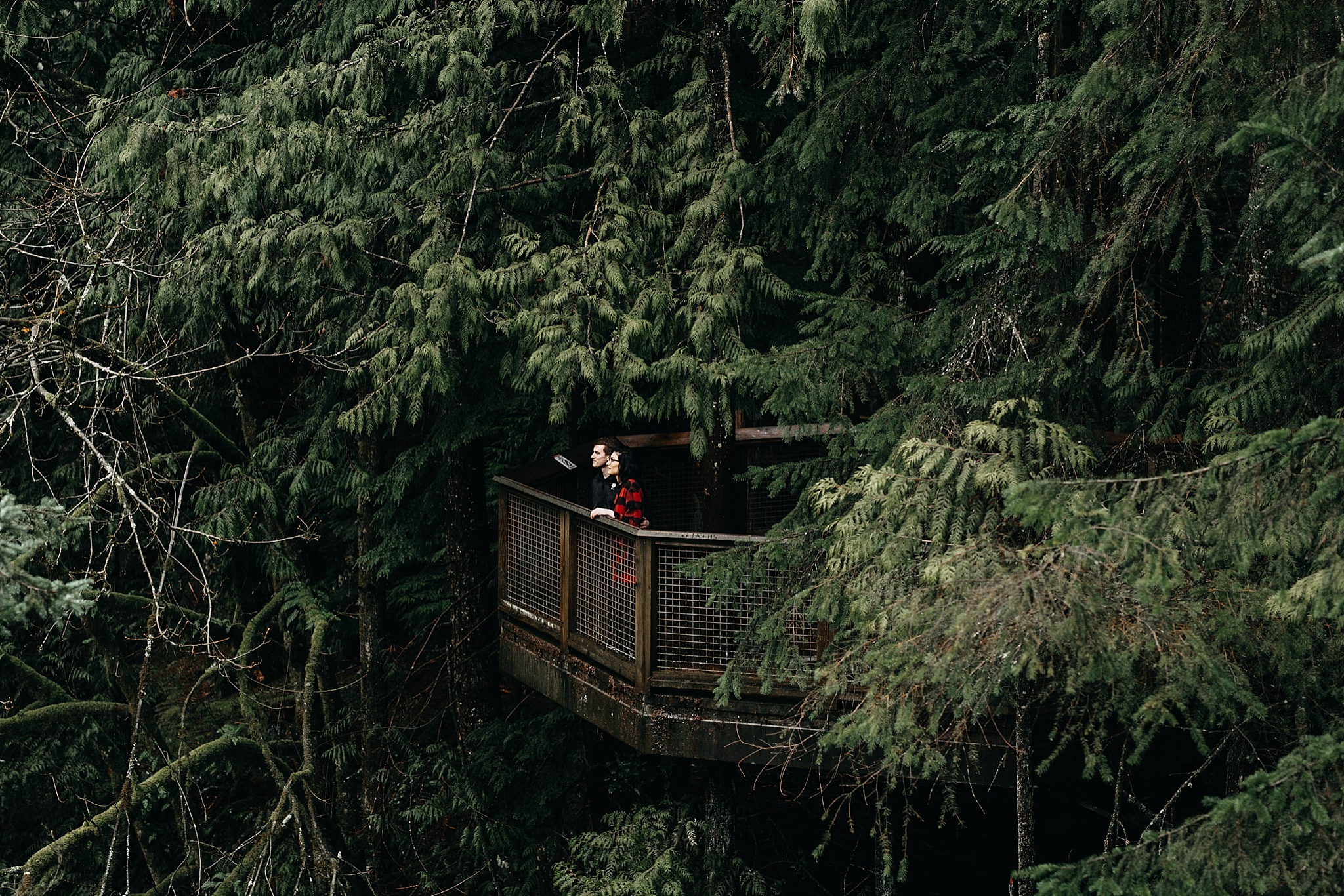 couple on lookout point trees forest capilano suspension bridge engagement