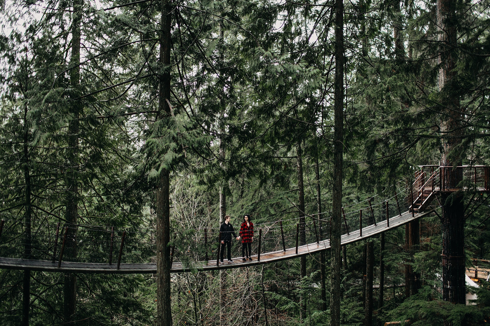 couple far away standing on bridge trees forest capilano suspension bridge