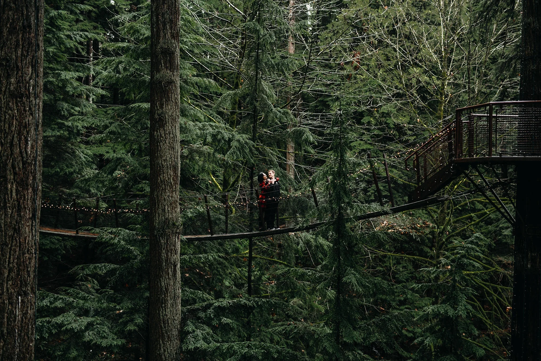 couple tiny people on bridge far away photo engagement capilano suspension bridge