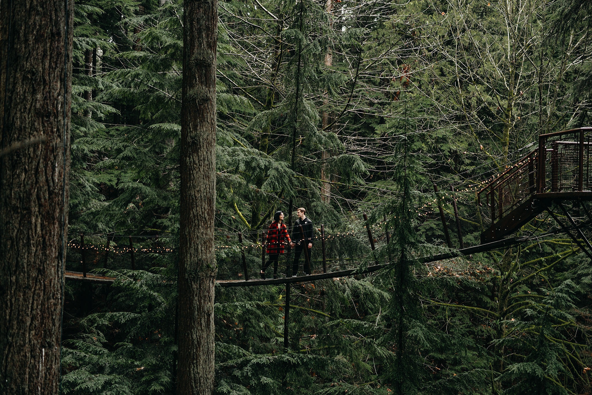 couple walking on tree top adventures engagement photos capilano suspension bridge