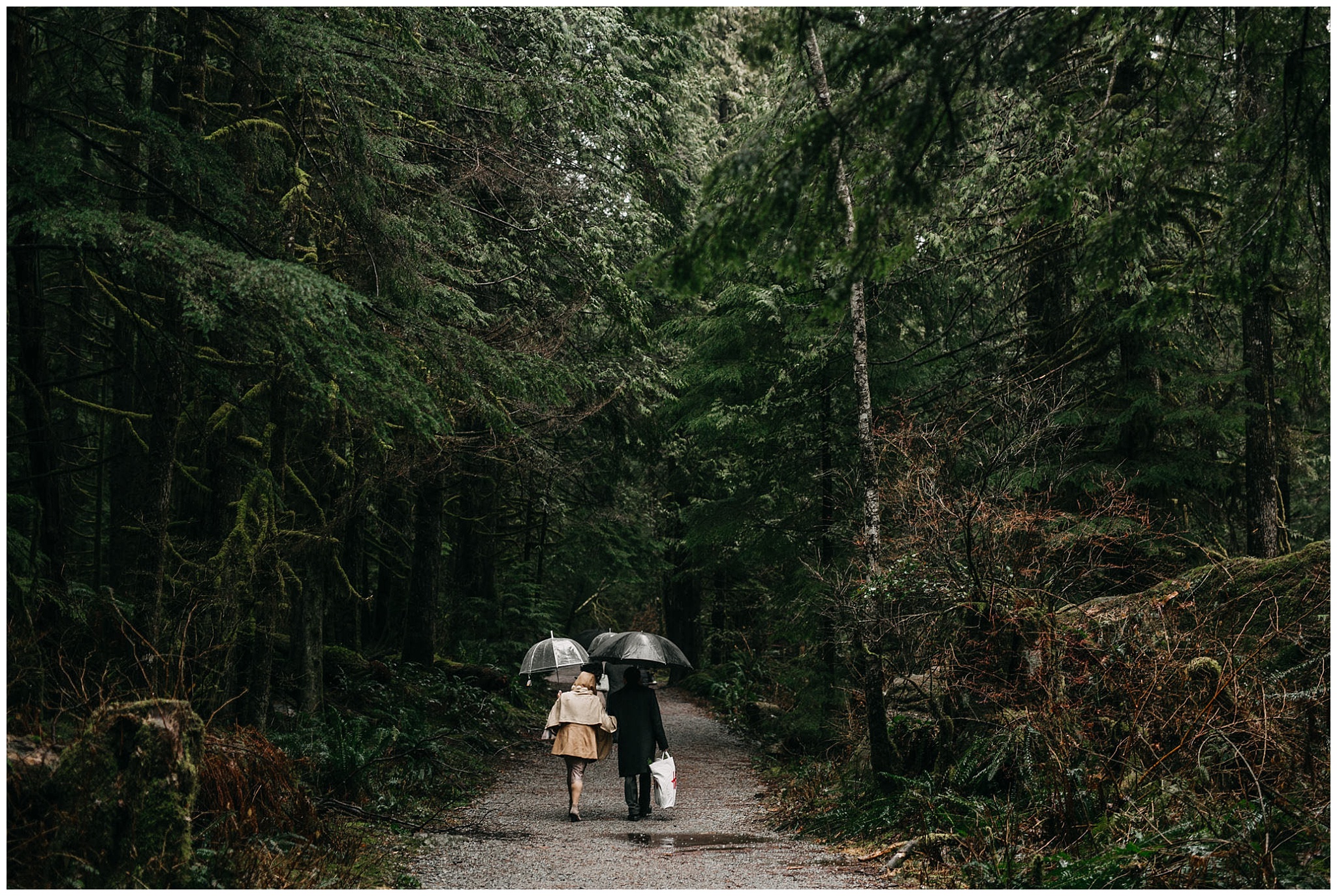 guests walking in forest to ceremony intimate golden ears wedding