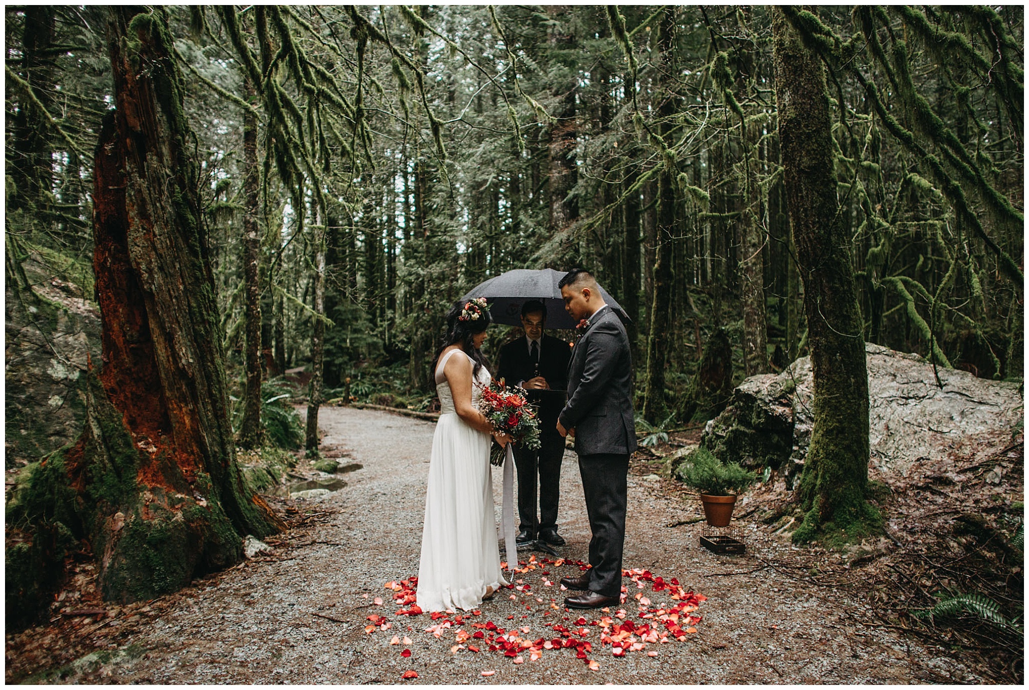bride groom forest ceremony intimate wedding golden ears mossy rain trees