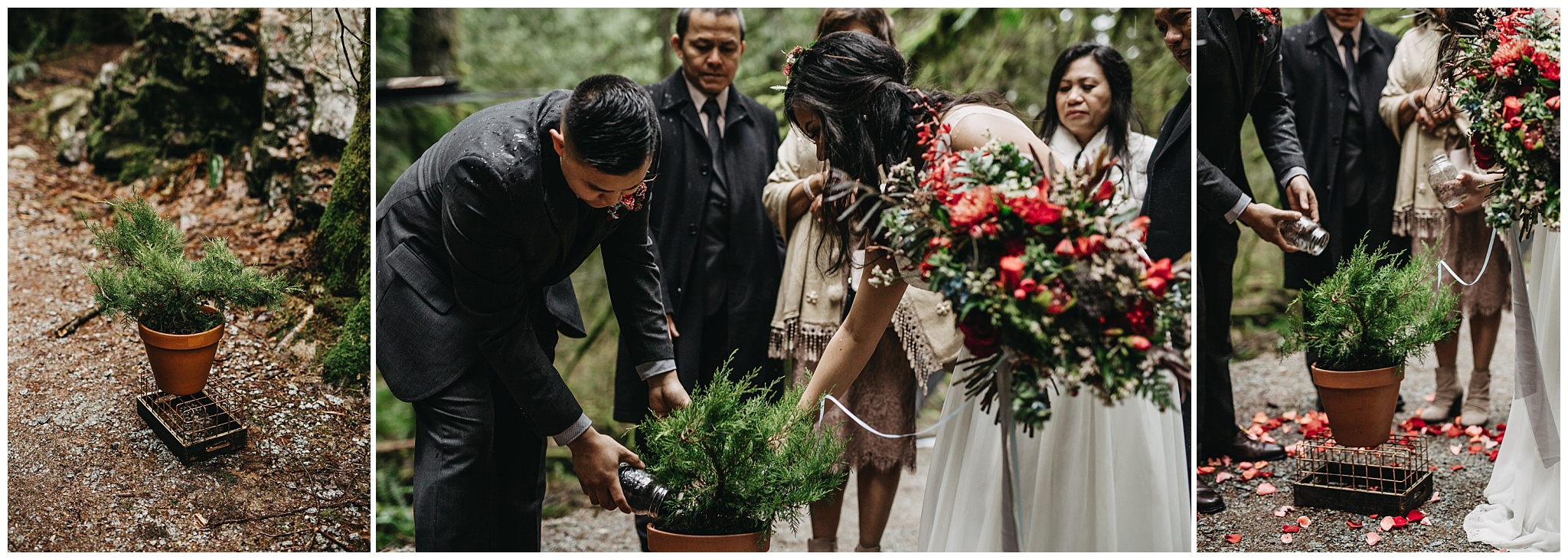 bride groom planting tree ceremony special moment golden ears park