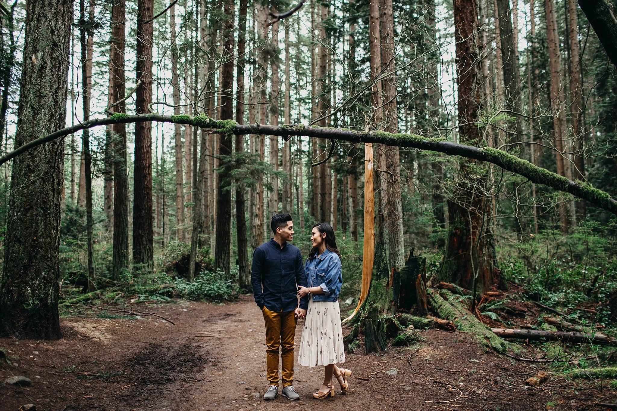 pacific spirit park engagement forest couple