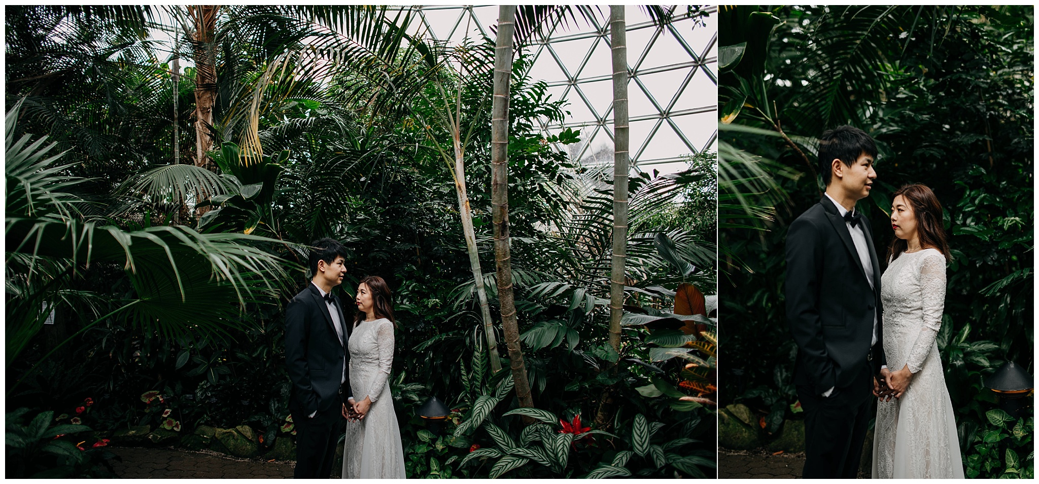 bloedel-conservatory-vancouver-bc-engagement-session_0005.jpg