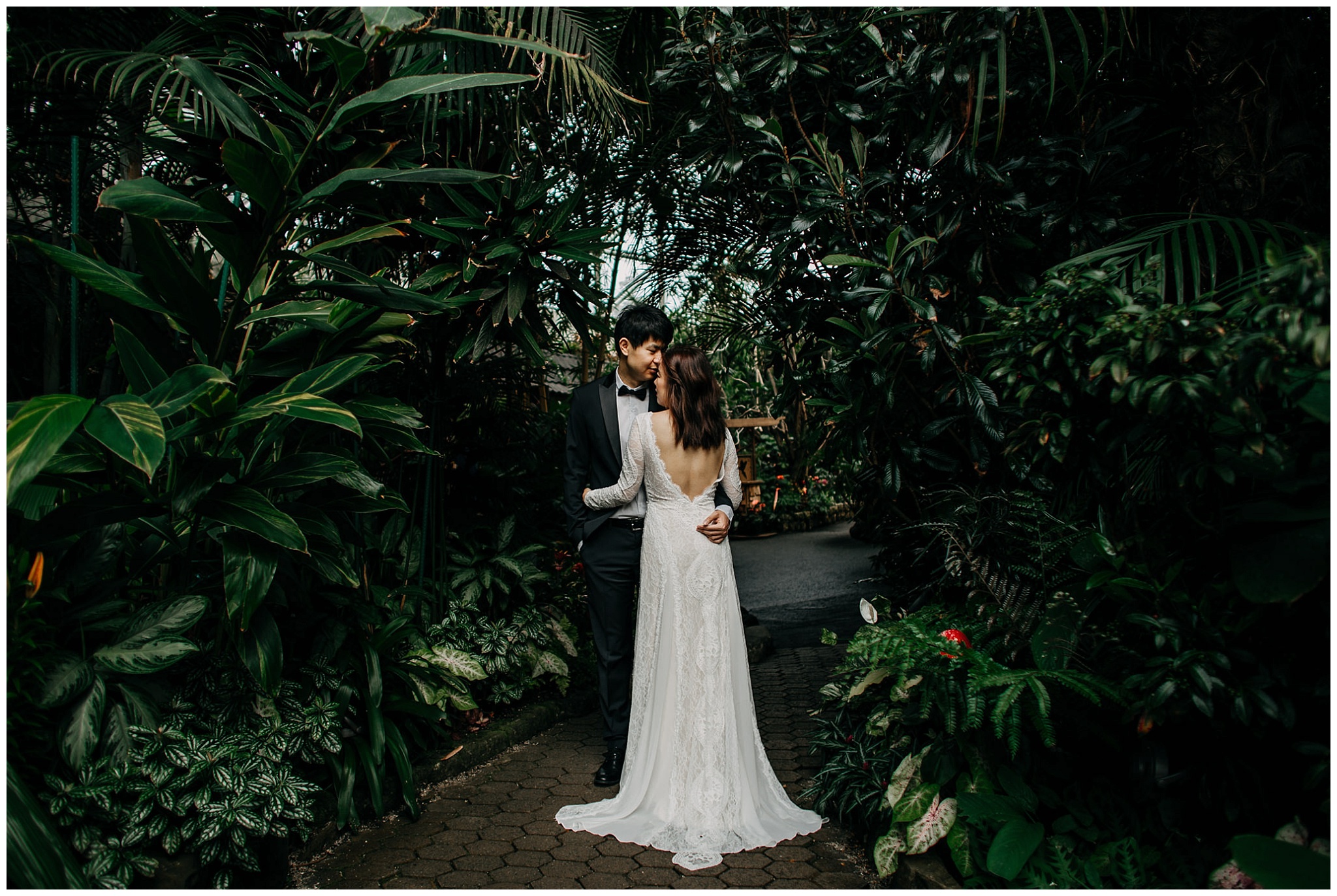 bride and groom engagement photos at bloedel conservatory