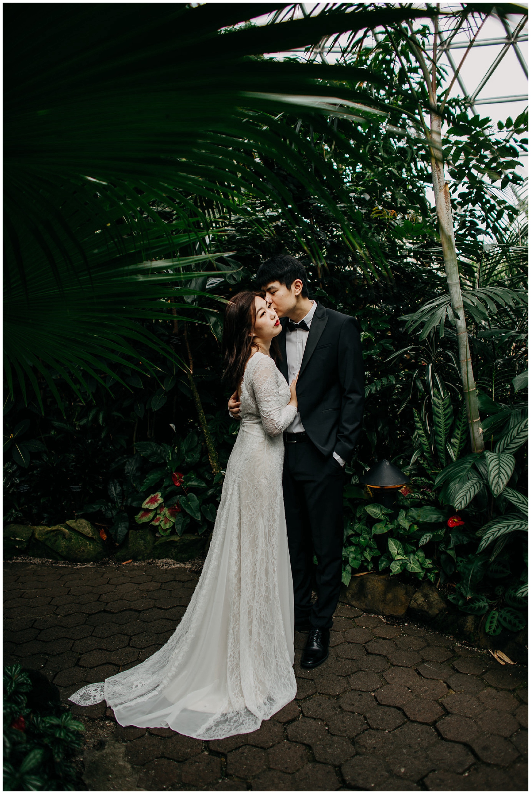 bride and groom portrait at bloedel conservatory vancouver