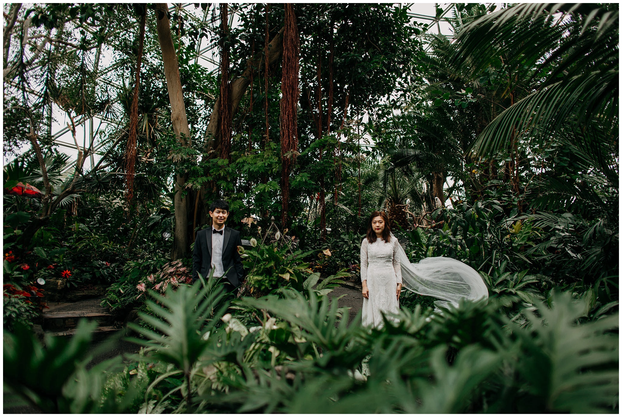 bride and groom veil portrait at bloedel conservatory vancouver