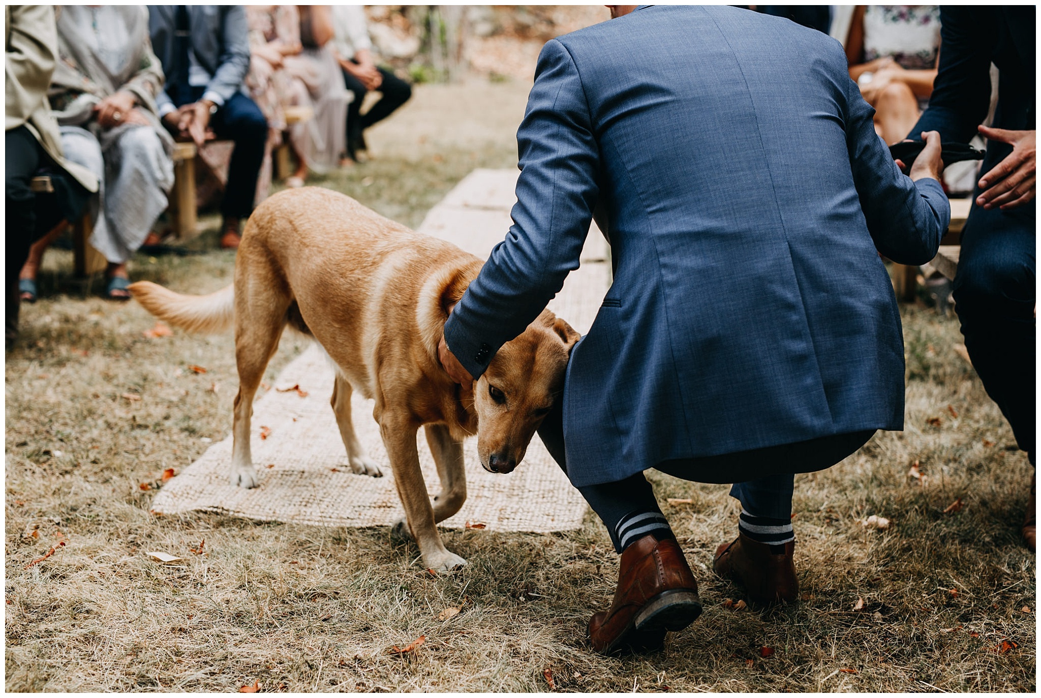 groom and dog at ceremony at mayne island backyard wedding