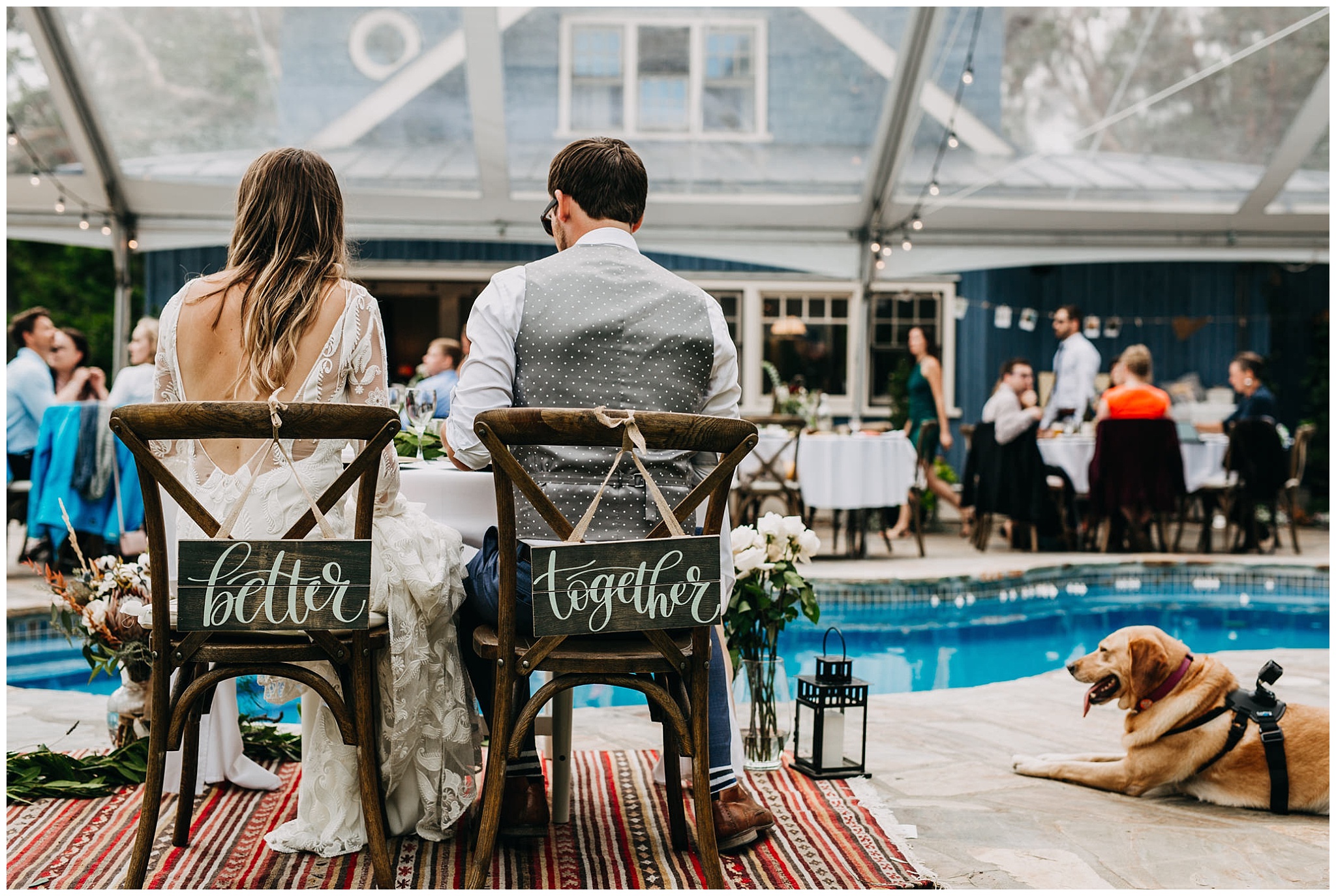 bride and groom at reception with their dog at intimate mayne island backyard wedding