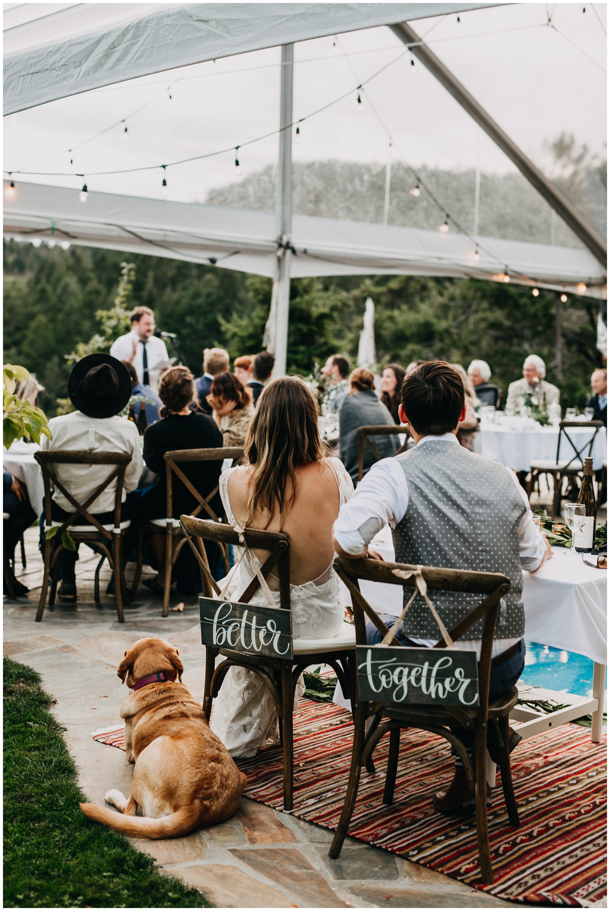 bride and groom with their dog listening to speeches at mayne island backyard wedding