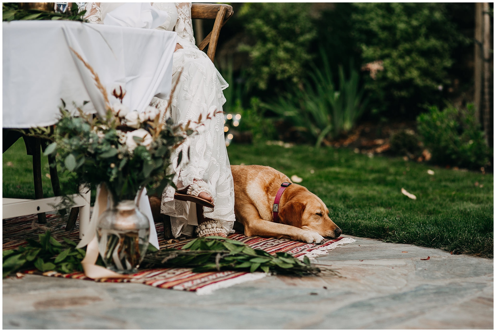 candid moment of dog sleeping at reception at mayne island backyard wedding