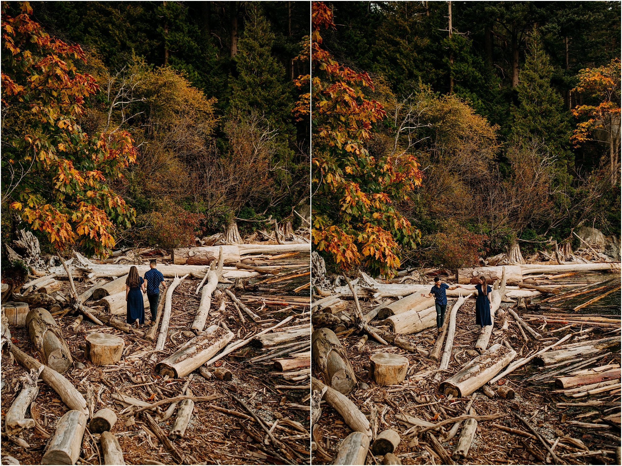 fall engagement session on the beach at lighthouse park west vancouver bc