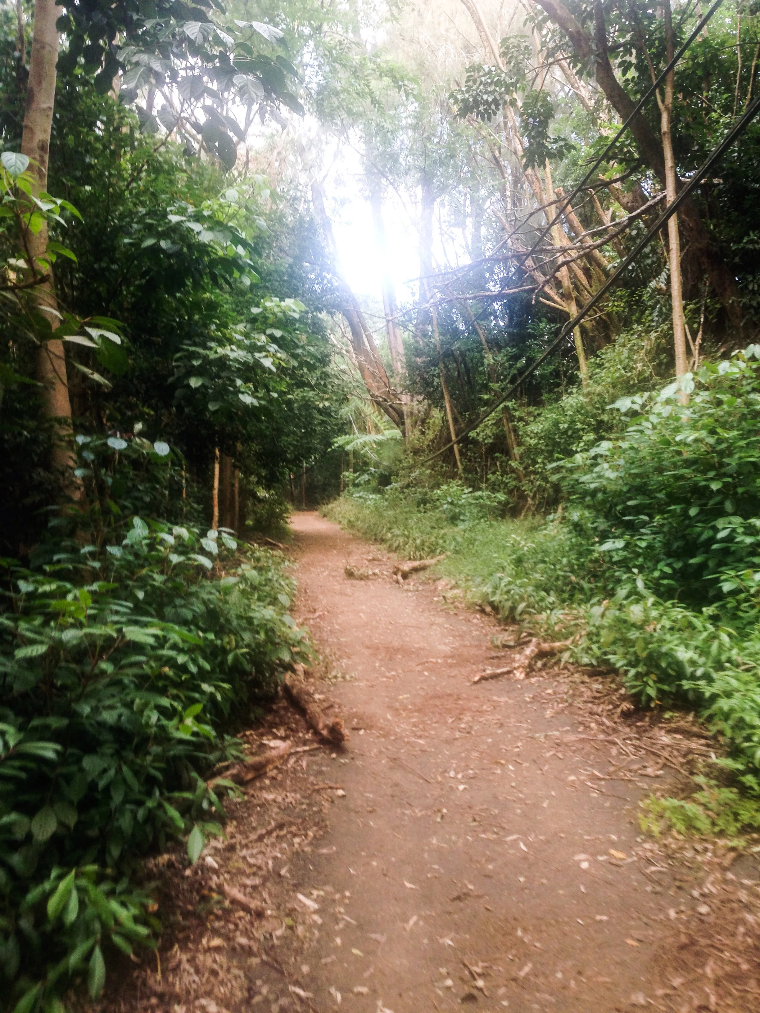 Road to Kalihi Ice Ponds 