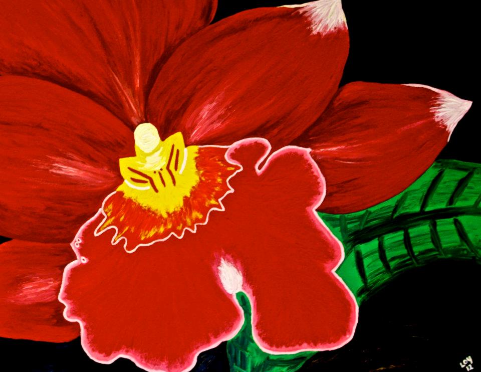 Miltonia (mil-TOE-nea-ah) are often called Pansy Orchids because their flat-faced, open flowers resemble pansies in shape and markings. The presences of flowers in a home or office make the space more welcoming and create a sharing atmosphere